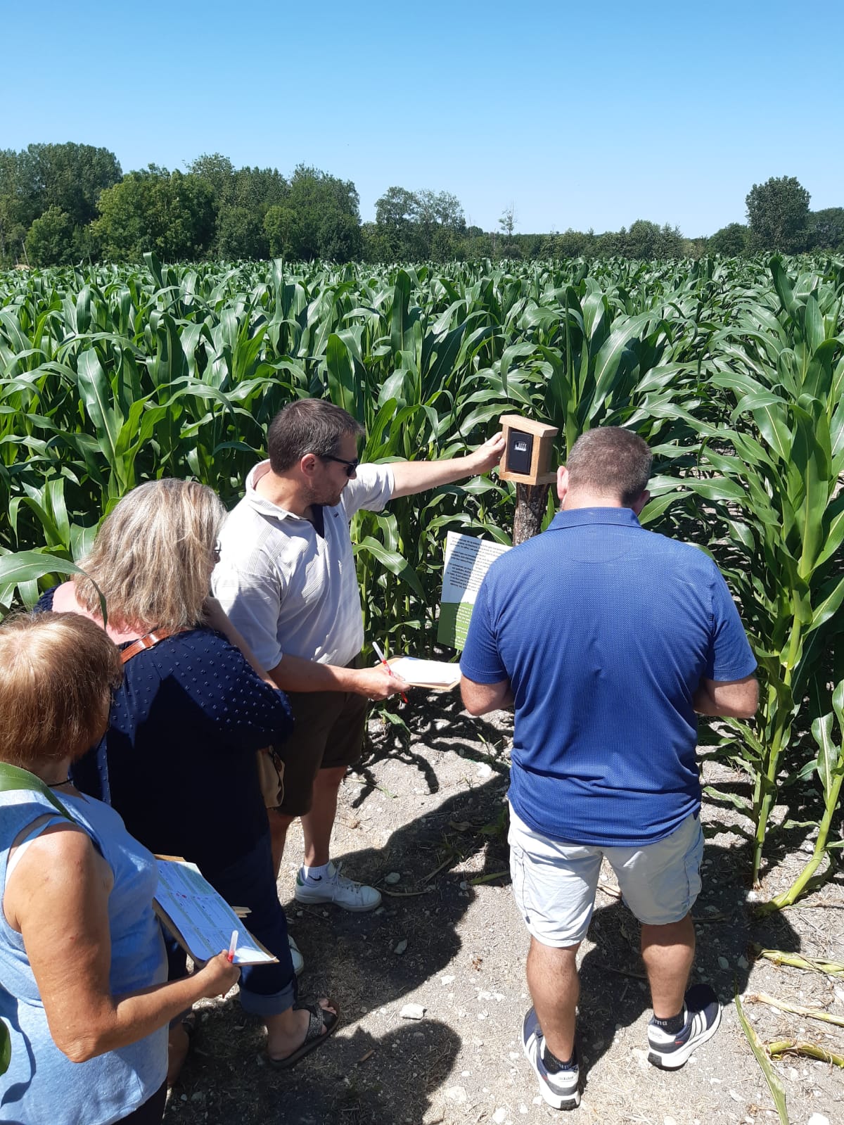 Labyrinthe de Maïs - photo 2