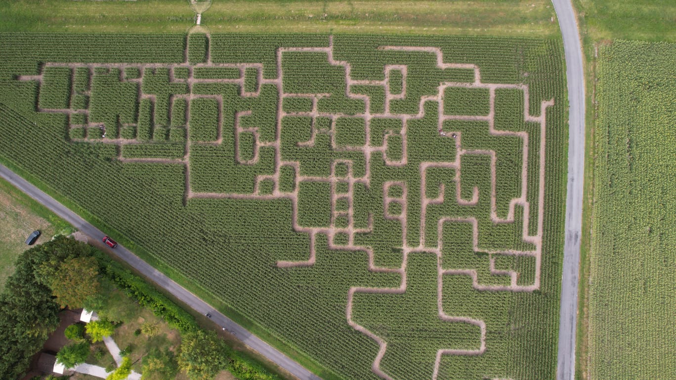Labyrinthe de Maïs, Vendoire - photo 6