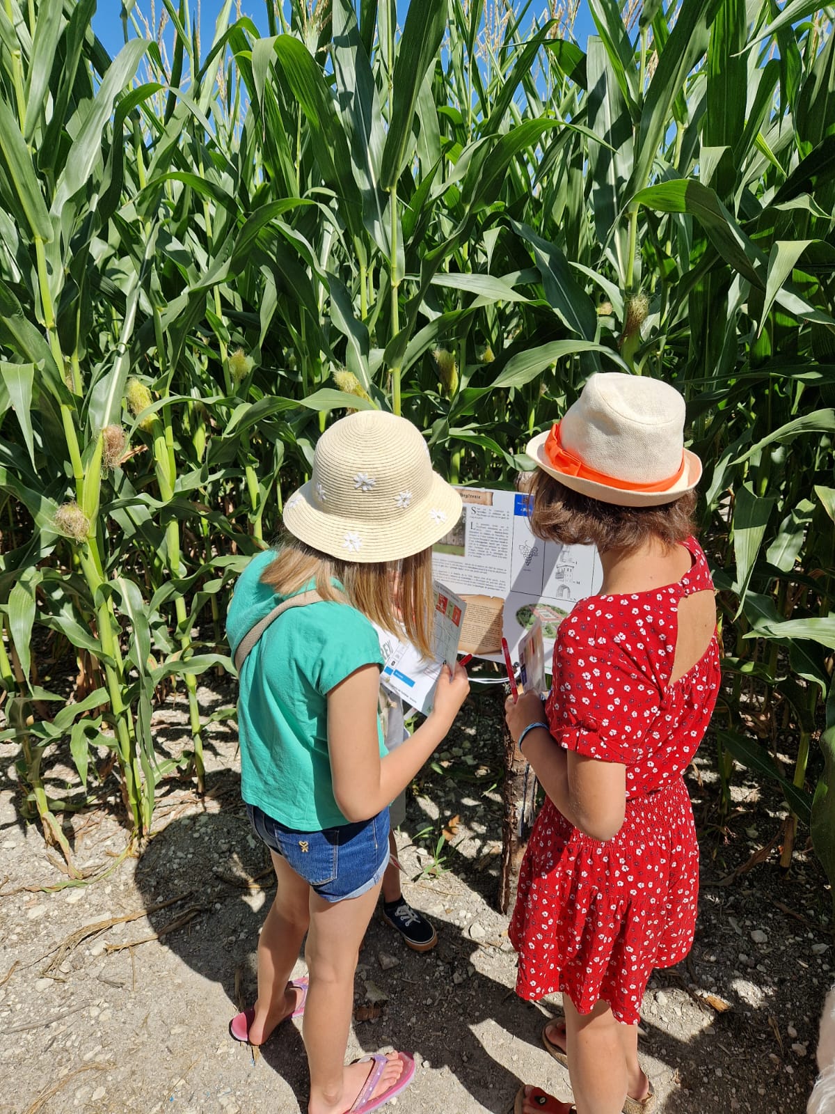Labyrinthe de Maïs, Vendoire