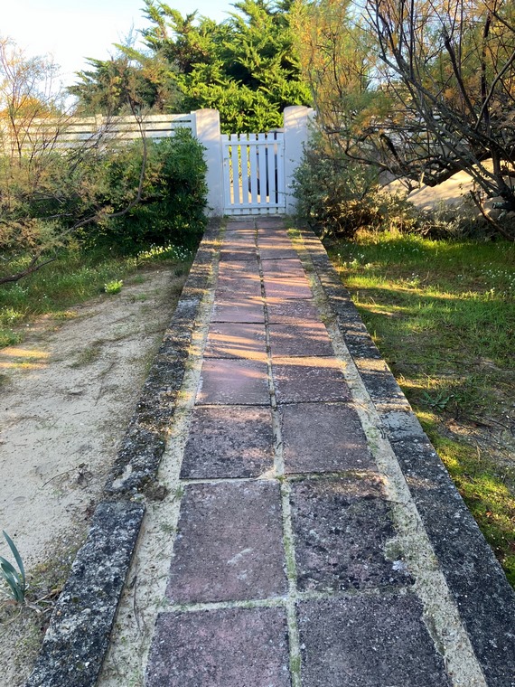 Belvédère - photo 5