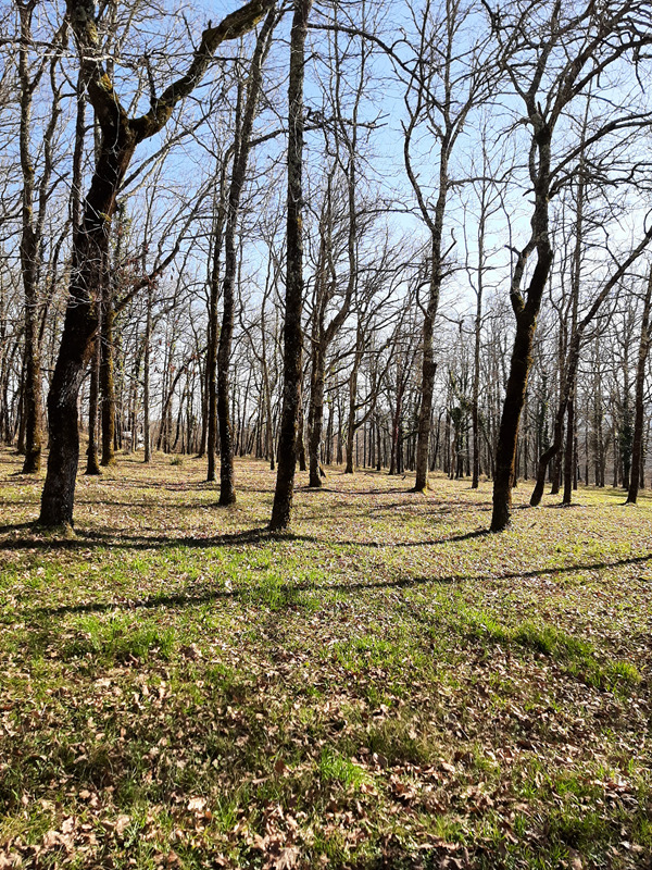 Gite Cantegrel, Saint-Chamassy - photo 9
