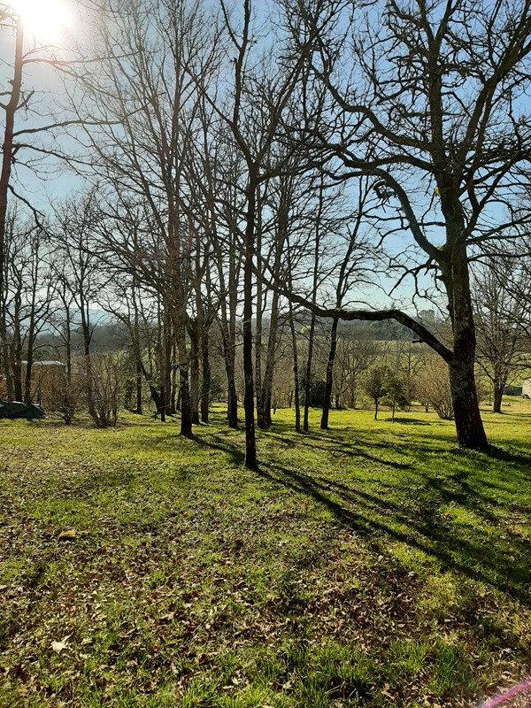 Gite Cantegrel, Saint-Chamassy - photo 8