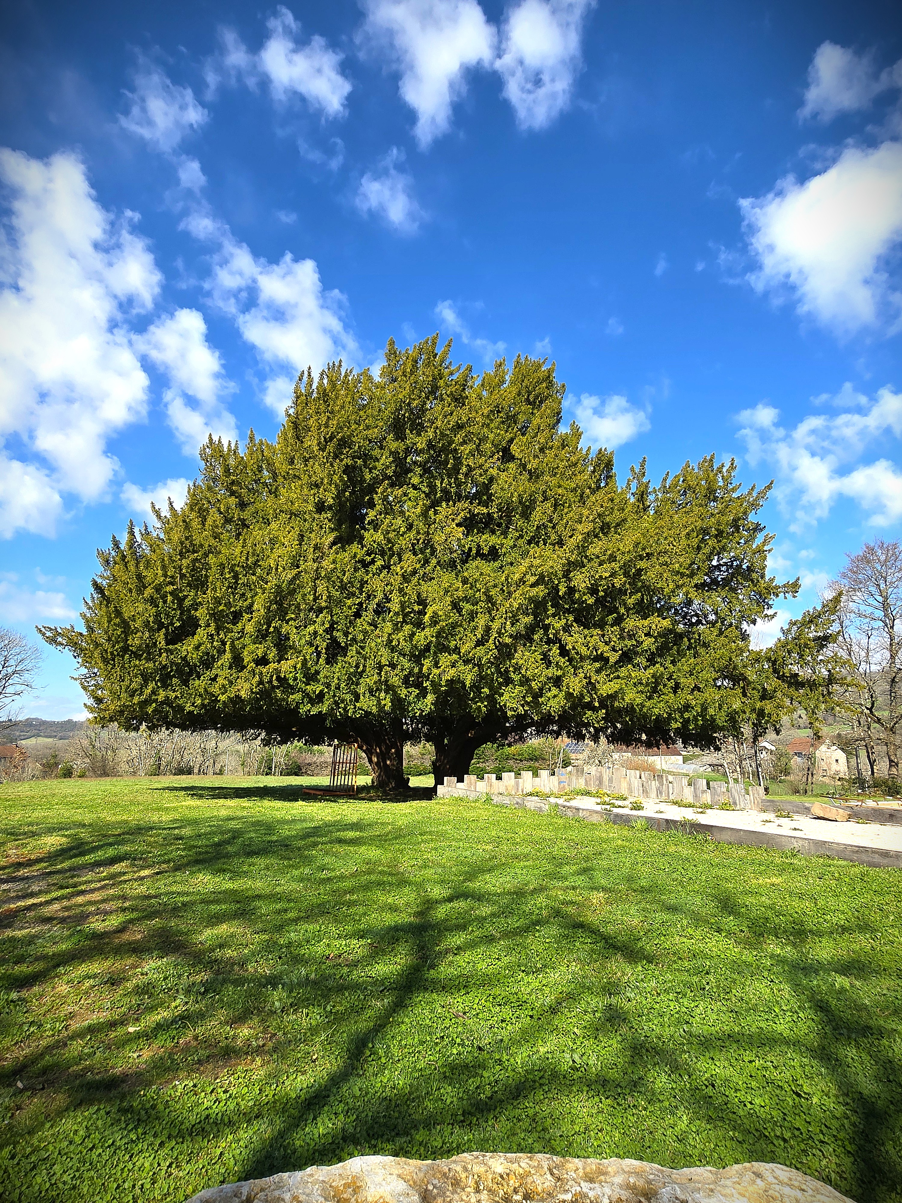 L'Avenante Bazilloise, Saint-Bazile-de-Meyssac - photo 16