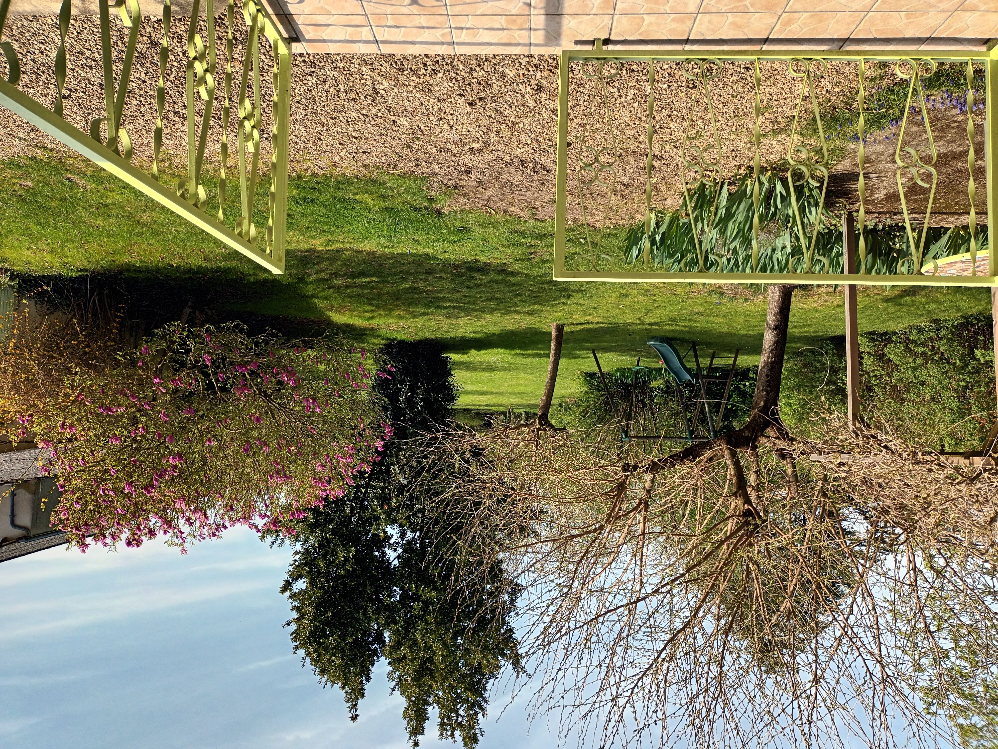 La Maison Auguste - photo 5