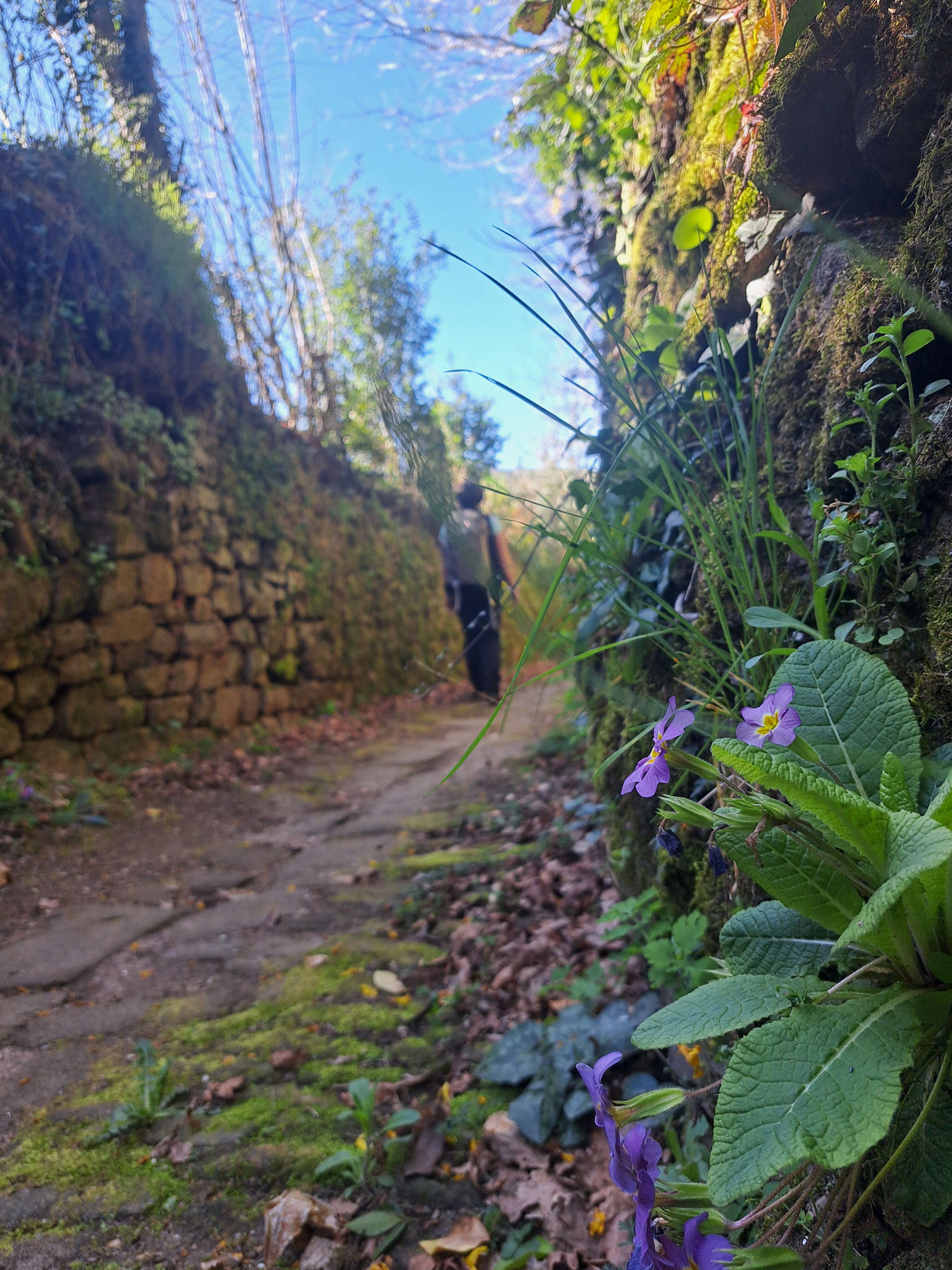 GRP® des Monédières