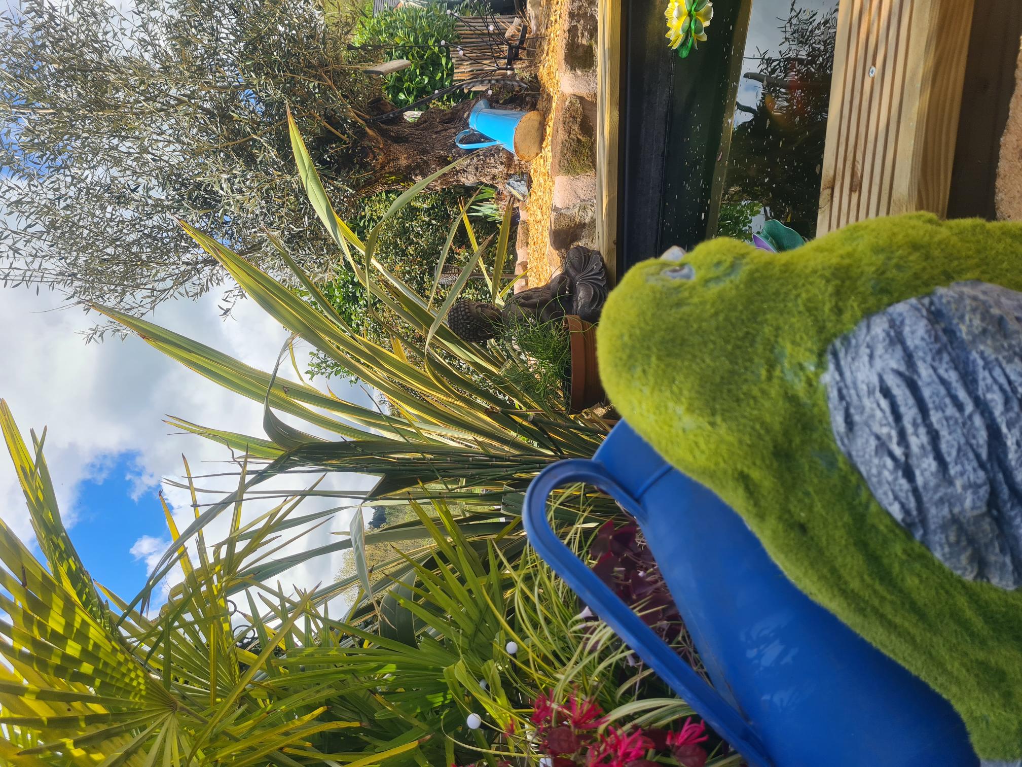 La Pause Fleurie, Villac - photo 15