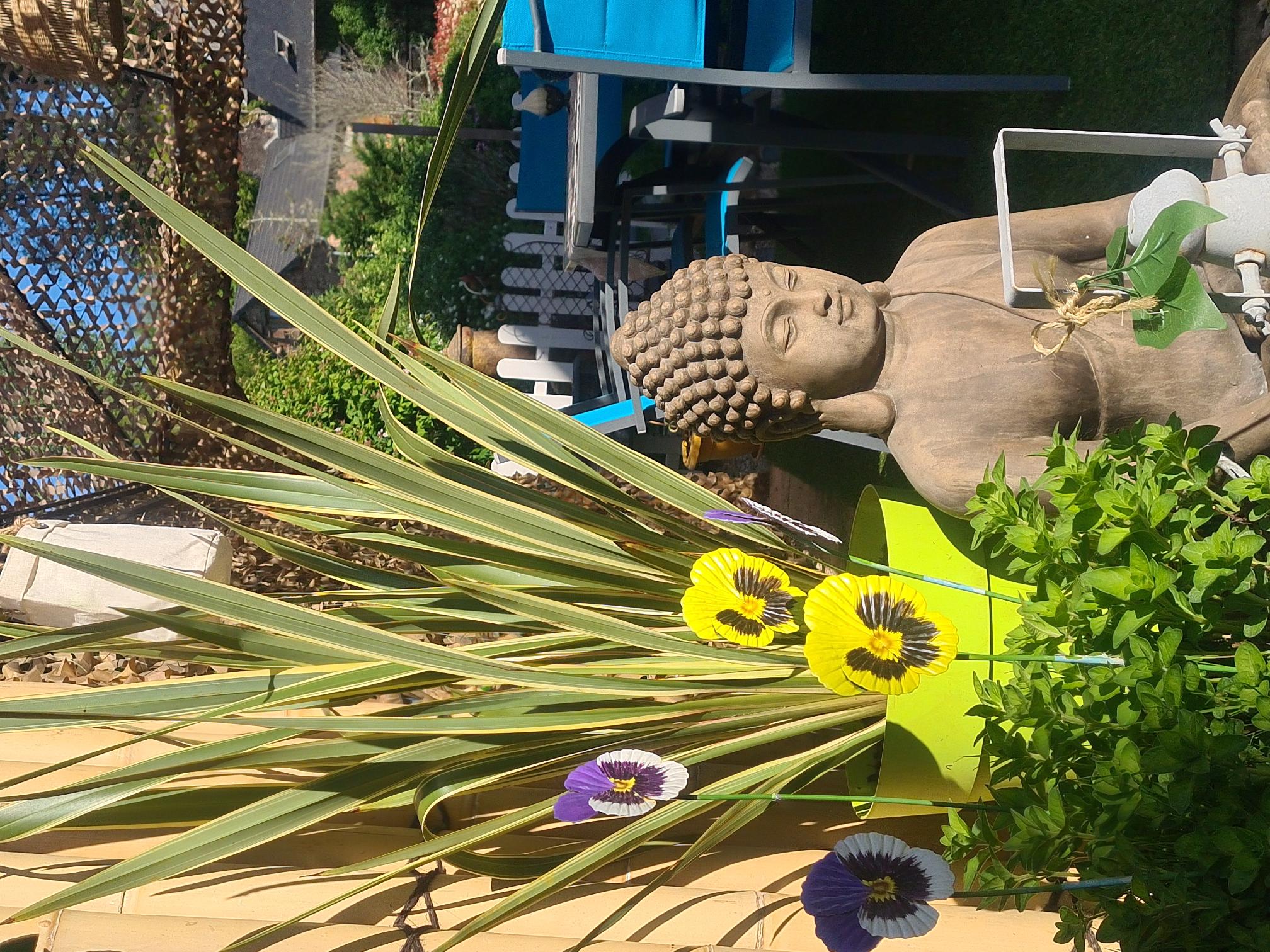 La Pause Fleurie, Villac - photo 4