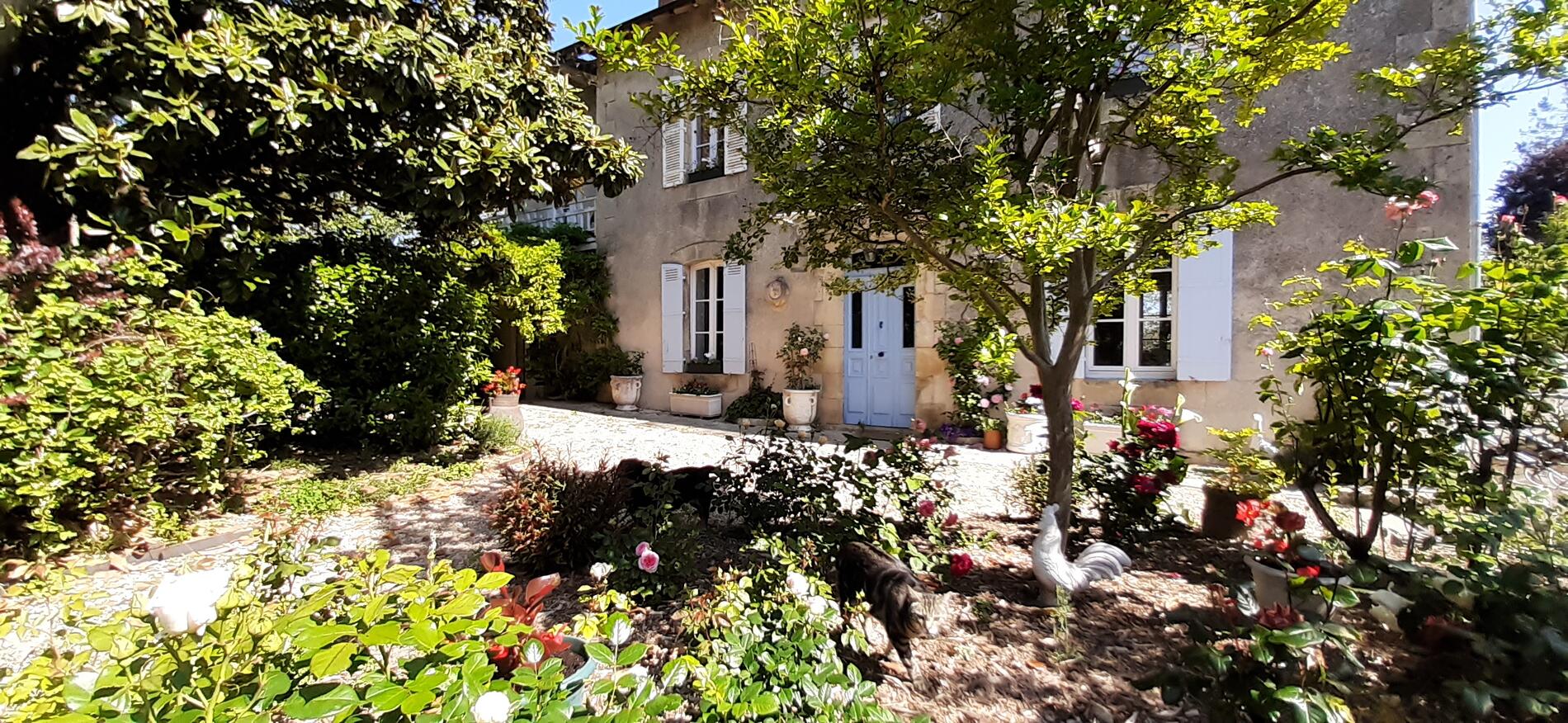 Les Cyclamens, Hautefort - photo 7