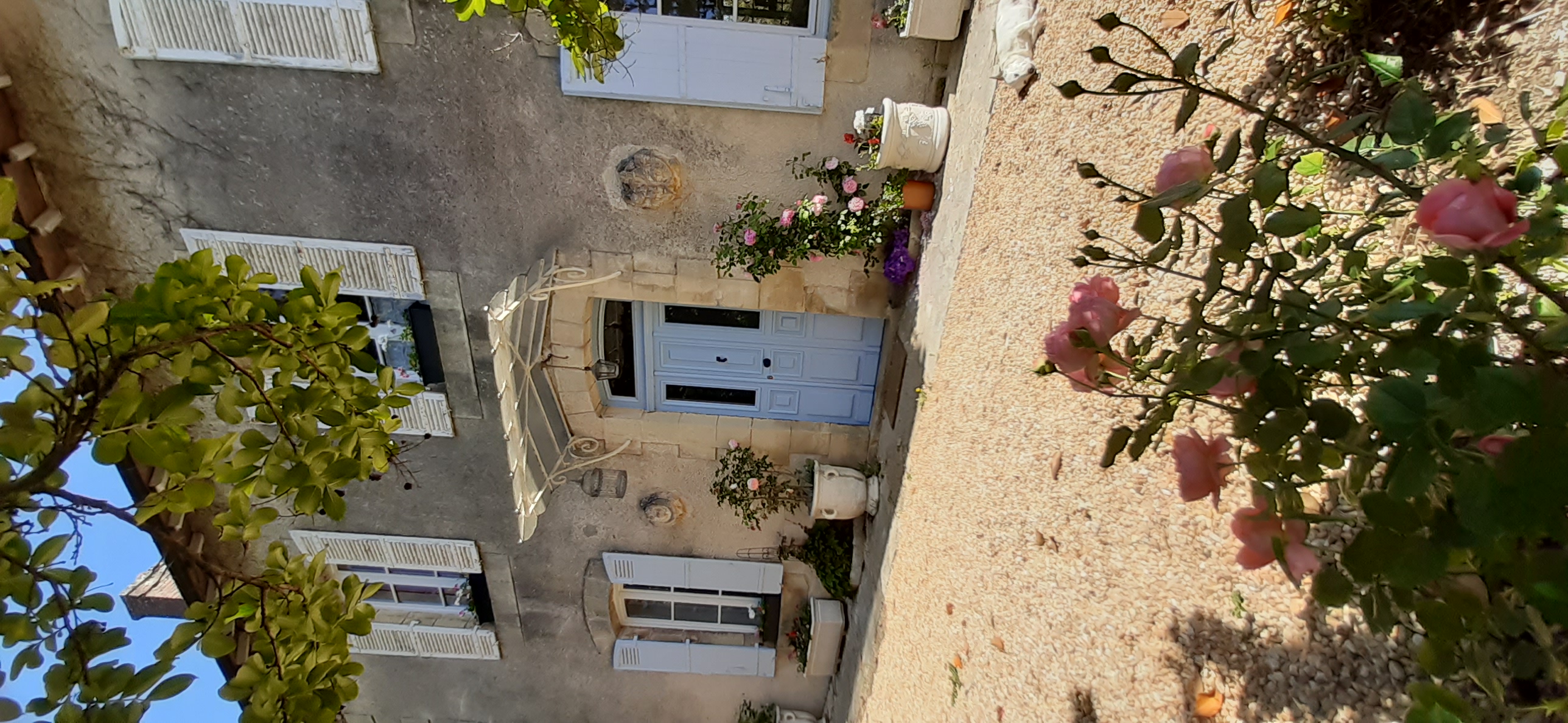 Les Cyclamens, Hautefort - photo 12