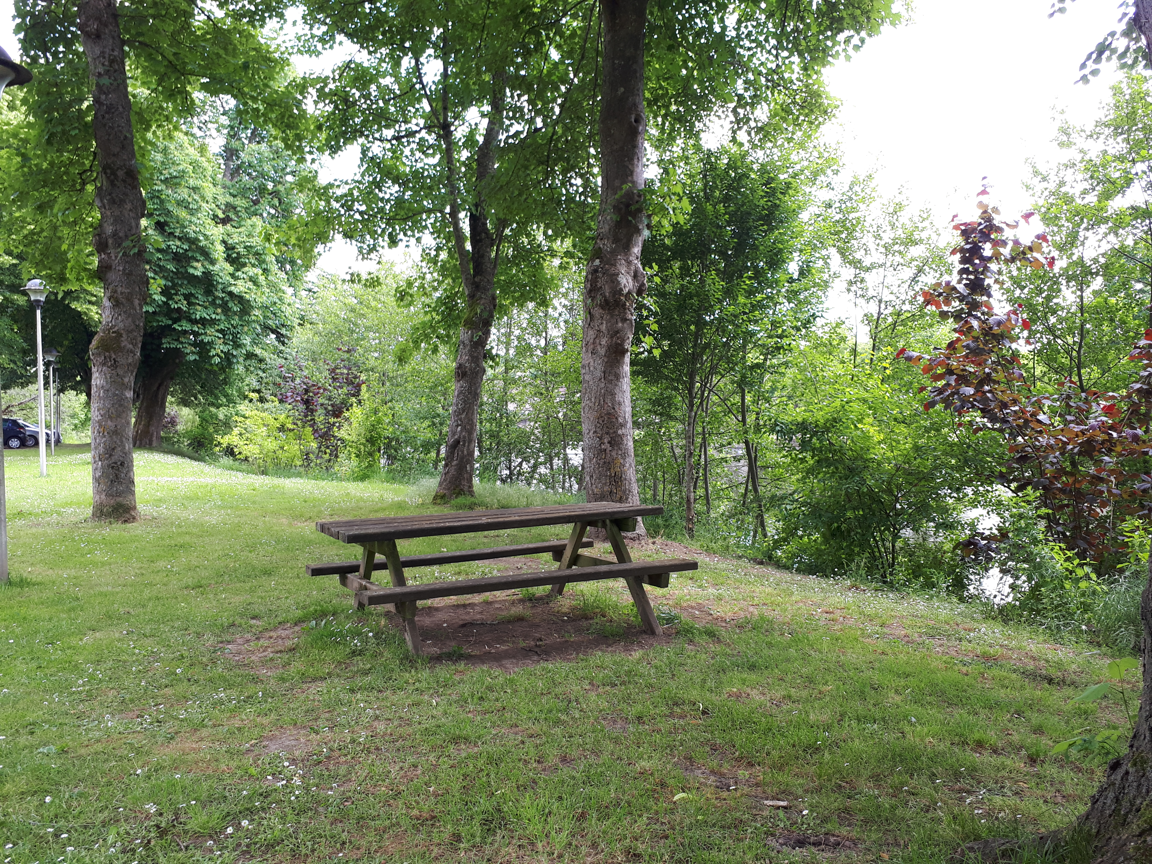Aire de pique-nique des bords de Vienne - rive droite - photo 2