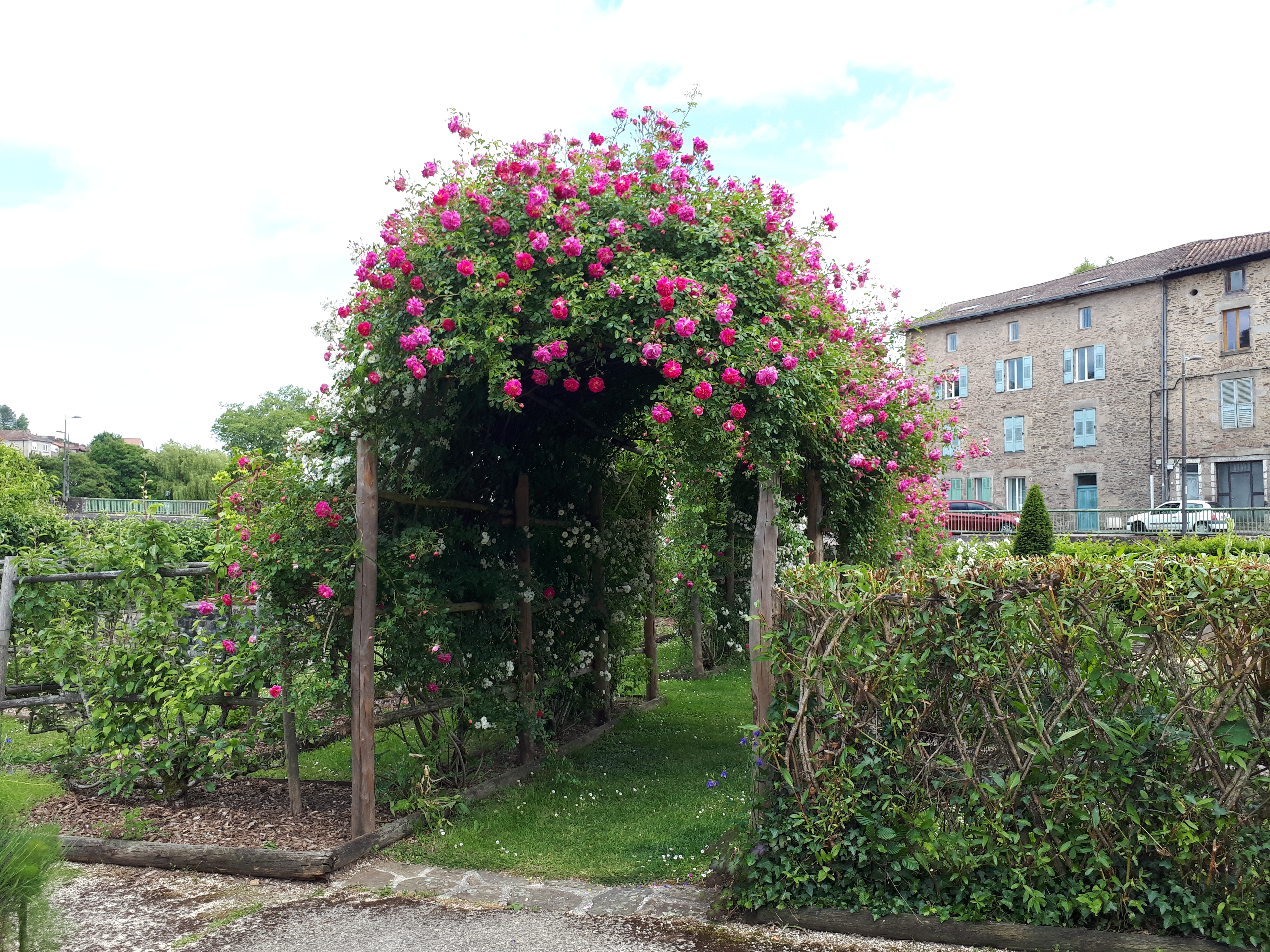 Jardin Jeanne d'Albret, d'inspiration médiévale, Aixe-sur-Vienne - photo 7