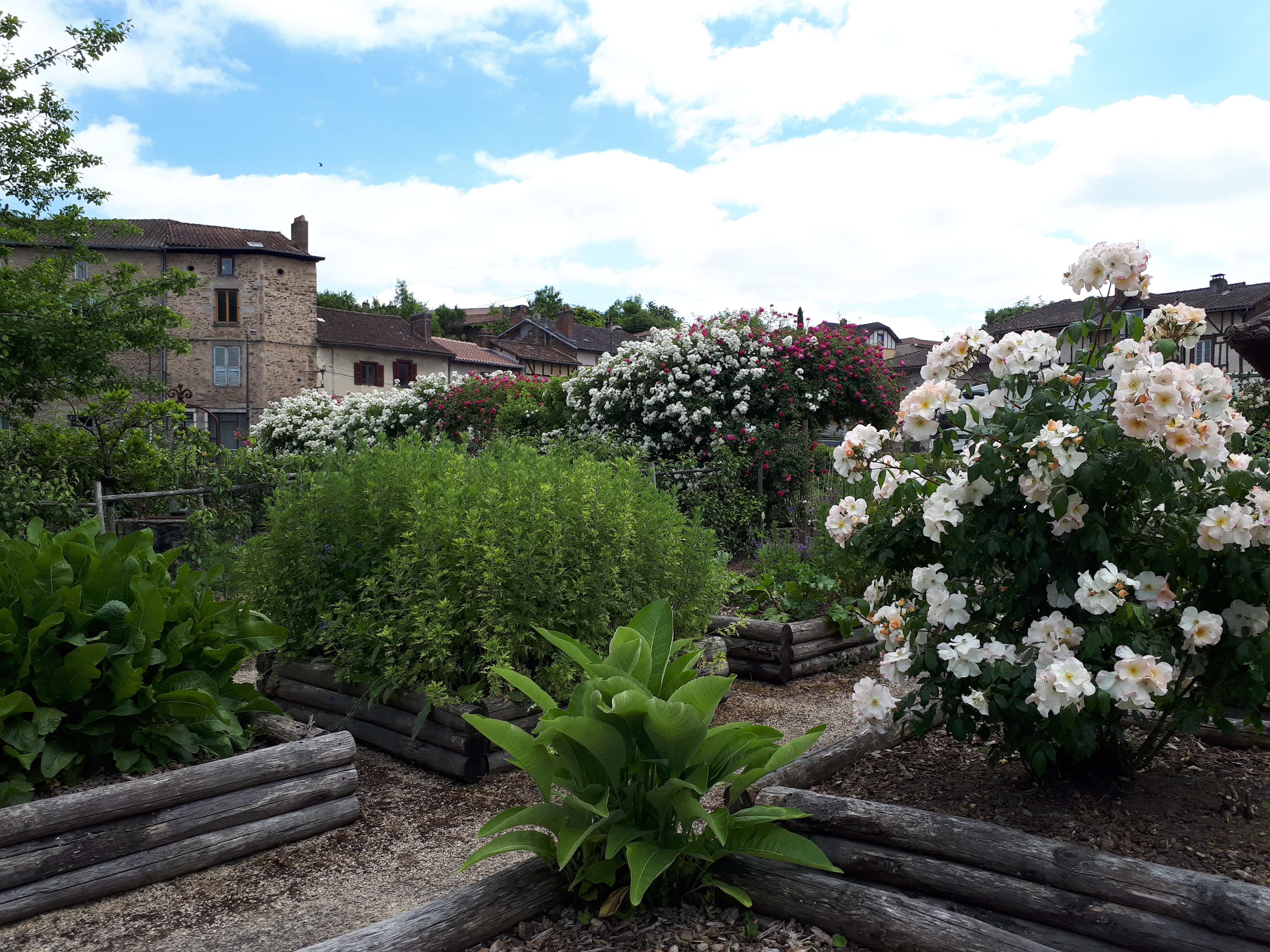 Jardin Jeanne d'Albret, d'inspiration médiévale, Aixe-sur-Vienne - photo 4
