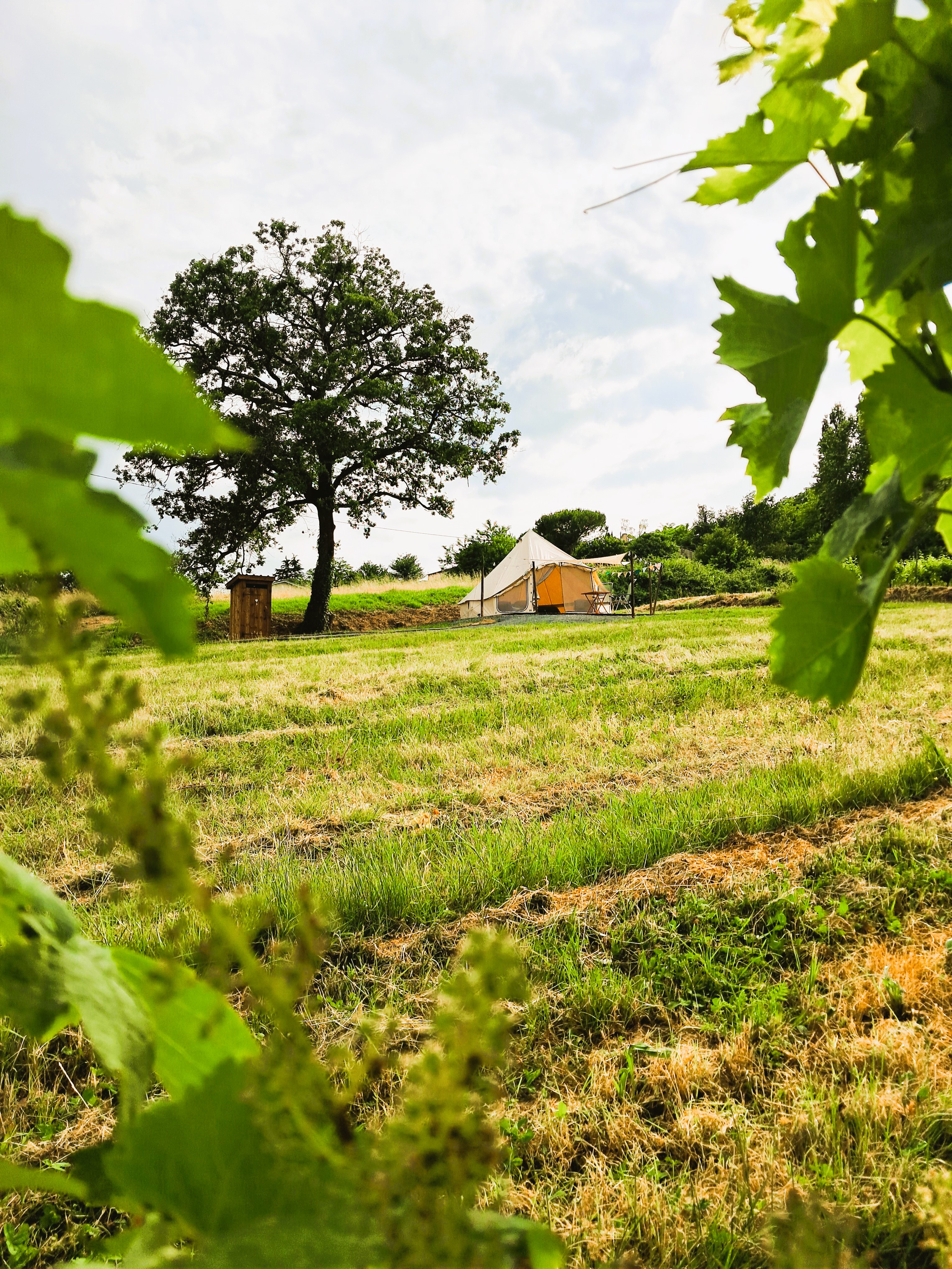 Bivouac de La plante, Saint-Aubin-de-Branne - photo 11