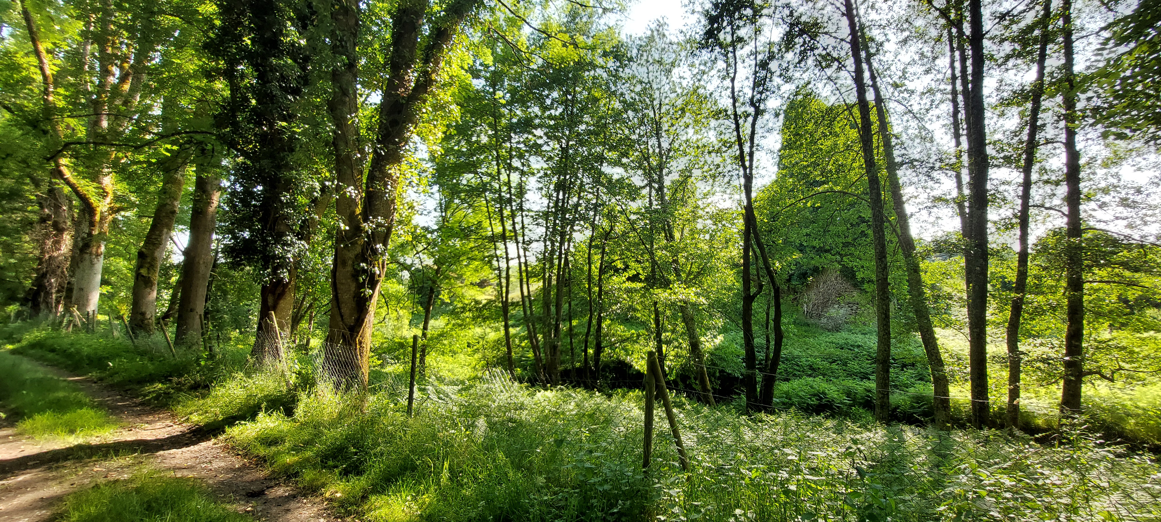 C11- BOIS LAMY - Base VTT intercommunale Portes de la Creuse en Marche, Bonnat - photo 6