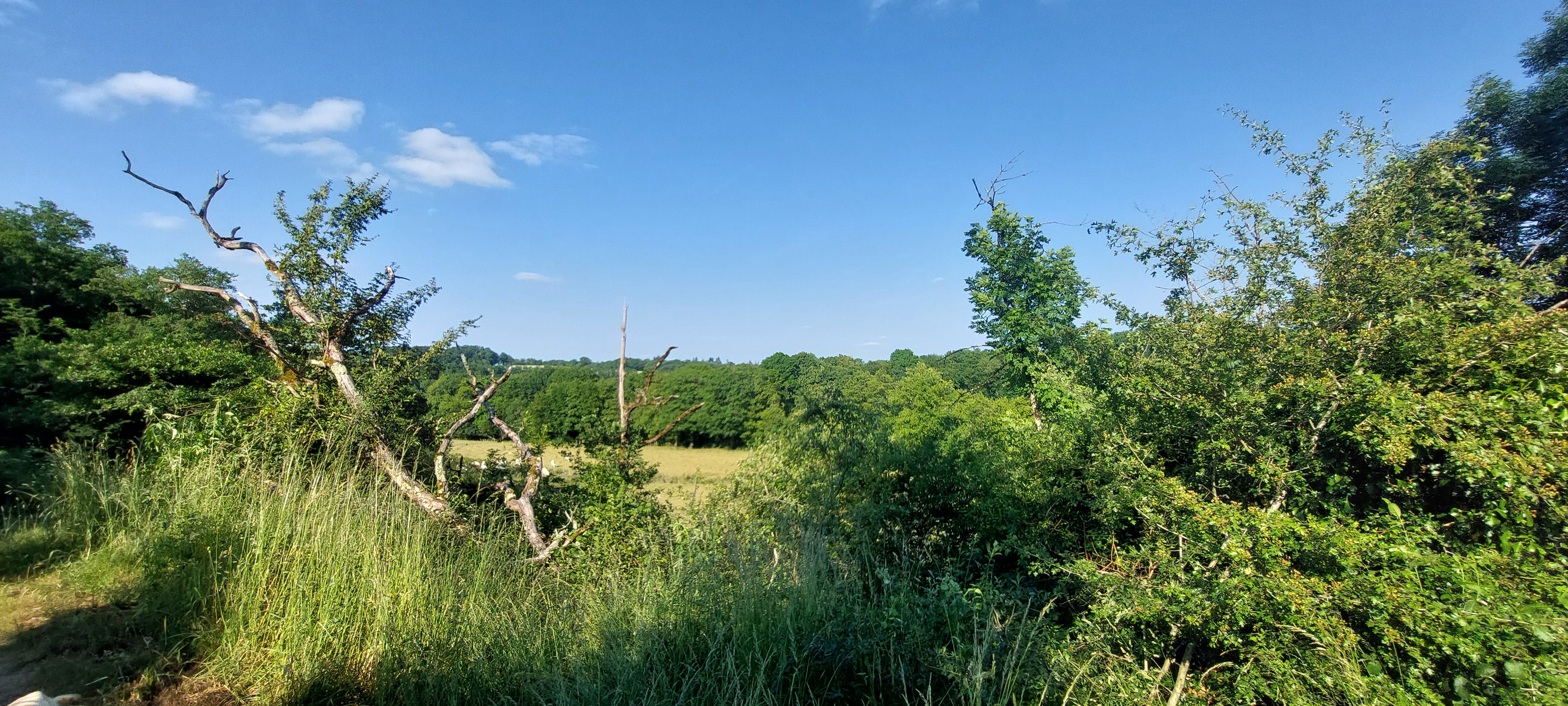 C11- BOIS LAMY - Base VTT intercommunale Portes de la Creuse en Marche, Bonnat - photo 2