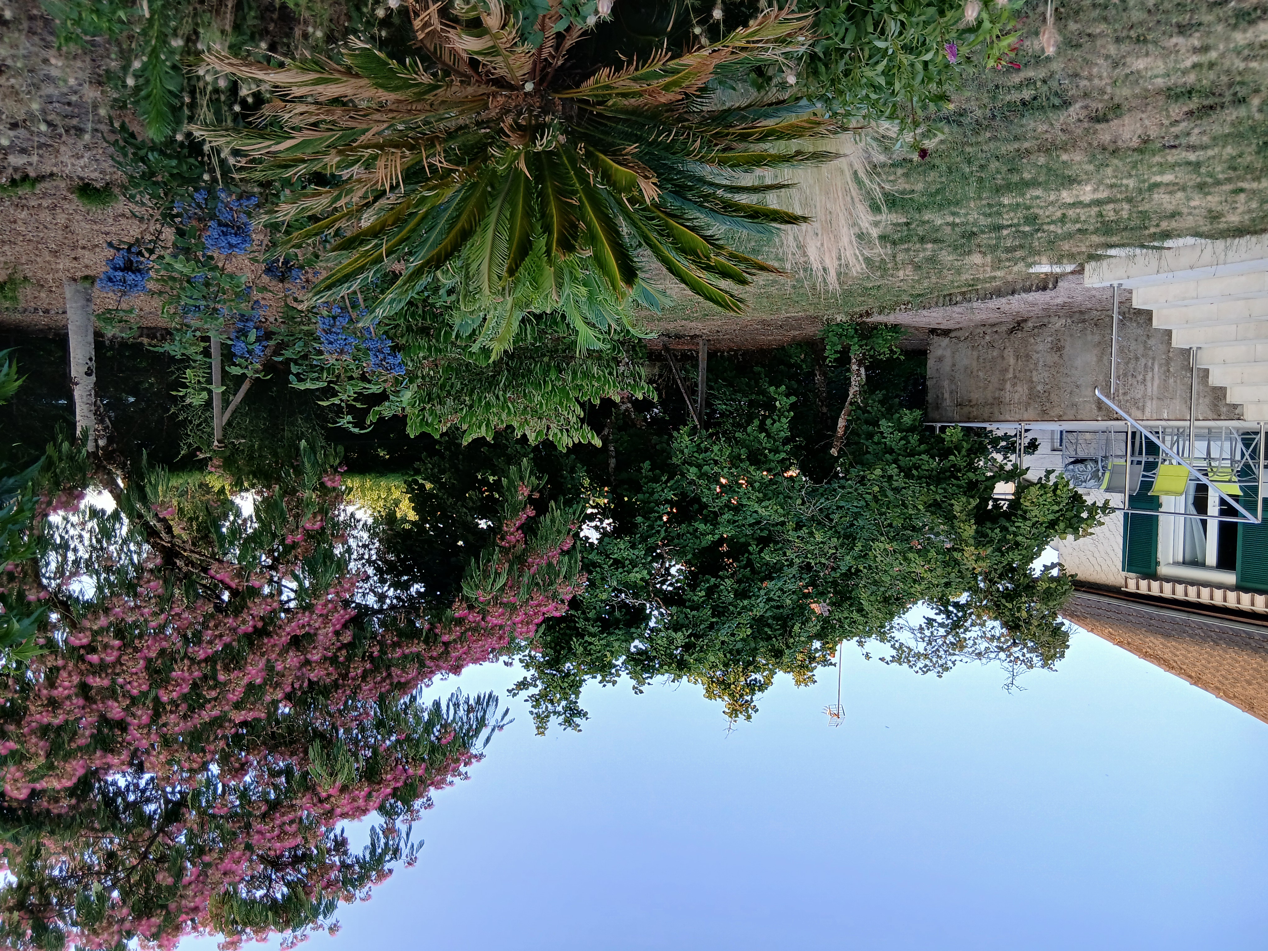 L'Albizia, Ingrandes - photo 9