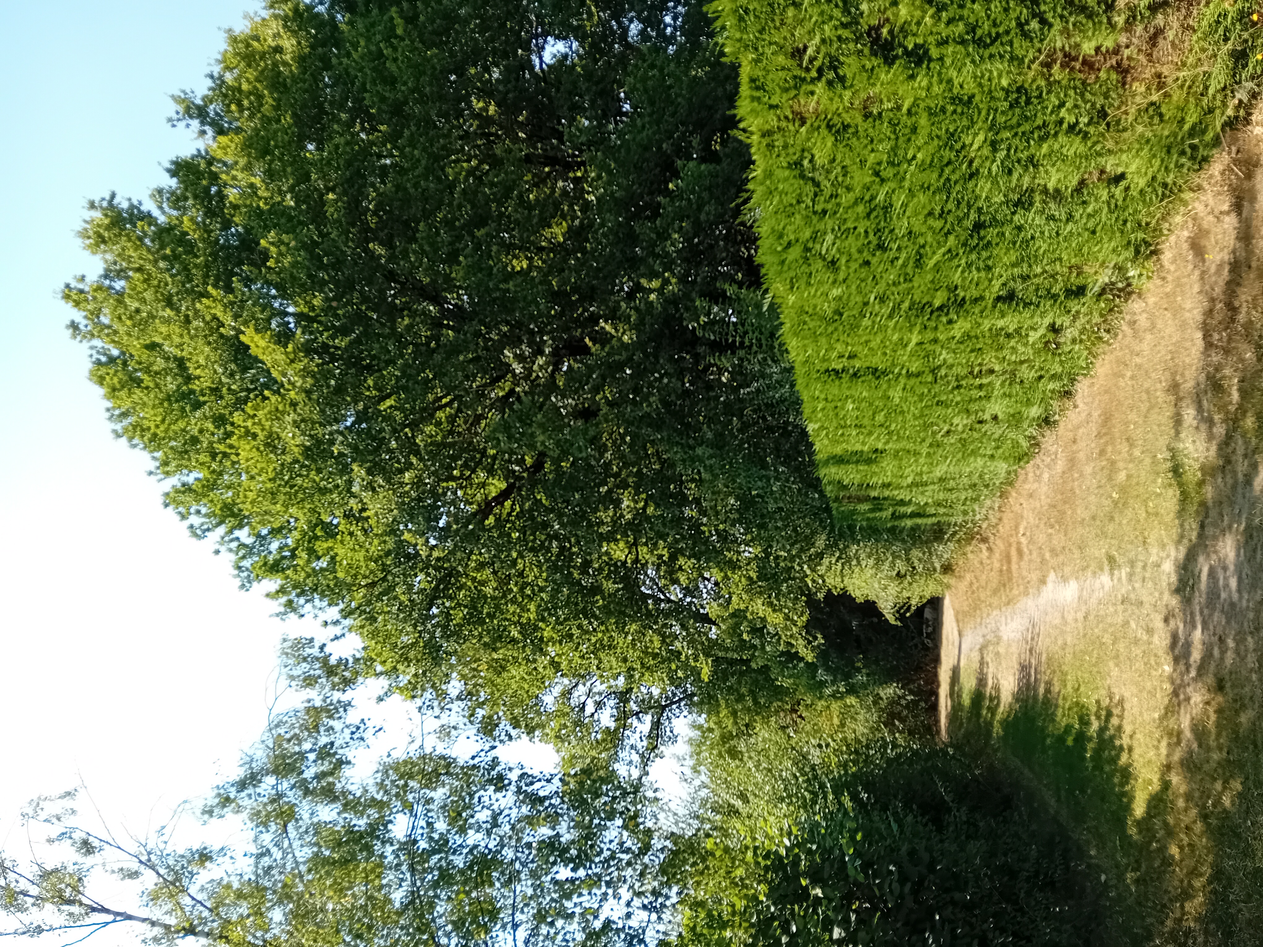 Saint-Amand-sur-Sèvre : circuit n°1, Le tour du bourg avec explications de l'histoire et du patrimoine