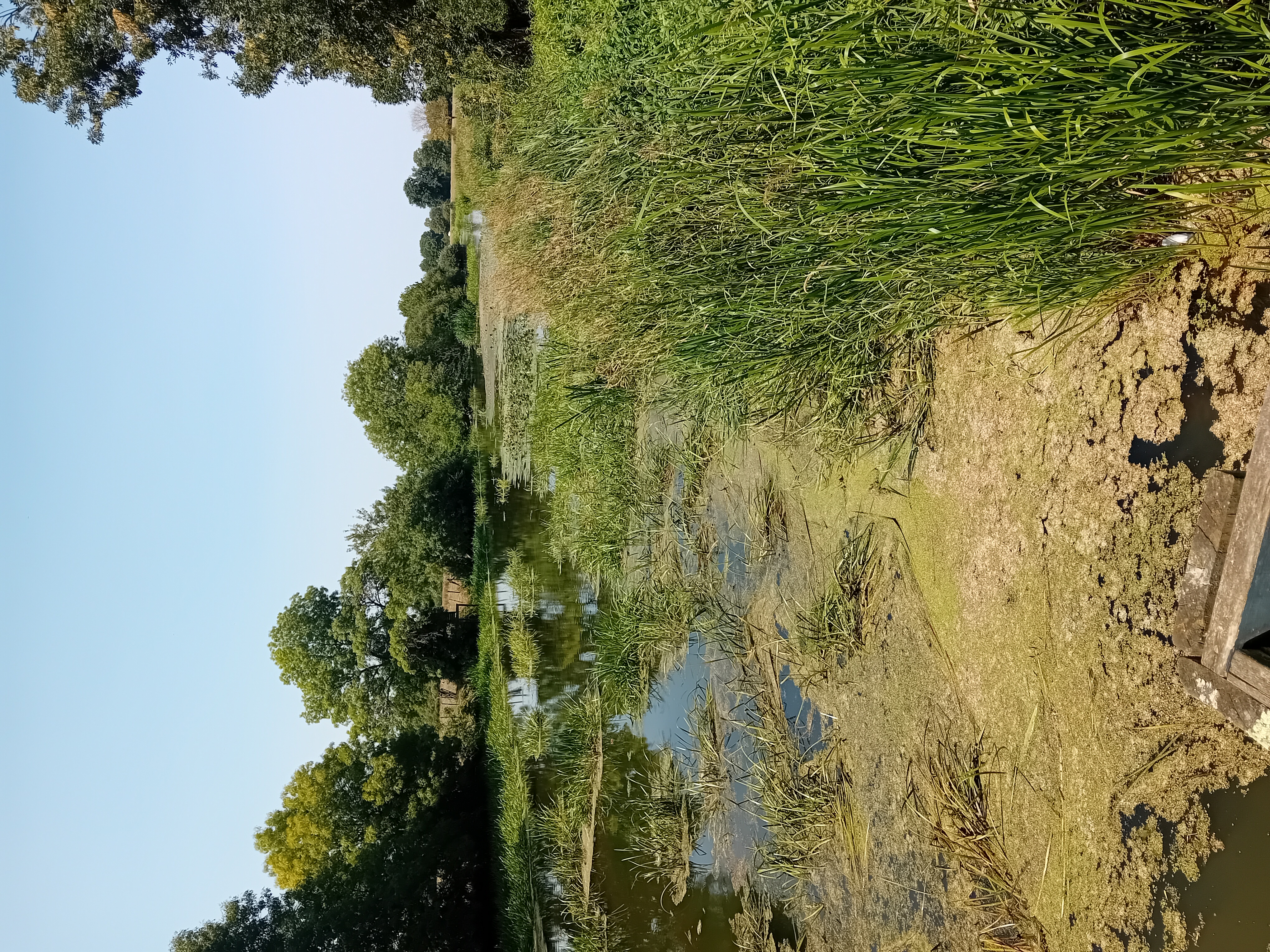 Saint-Amand-sur-Sèvre : circuit n°3