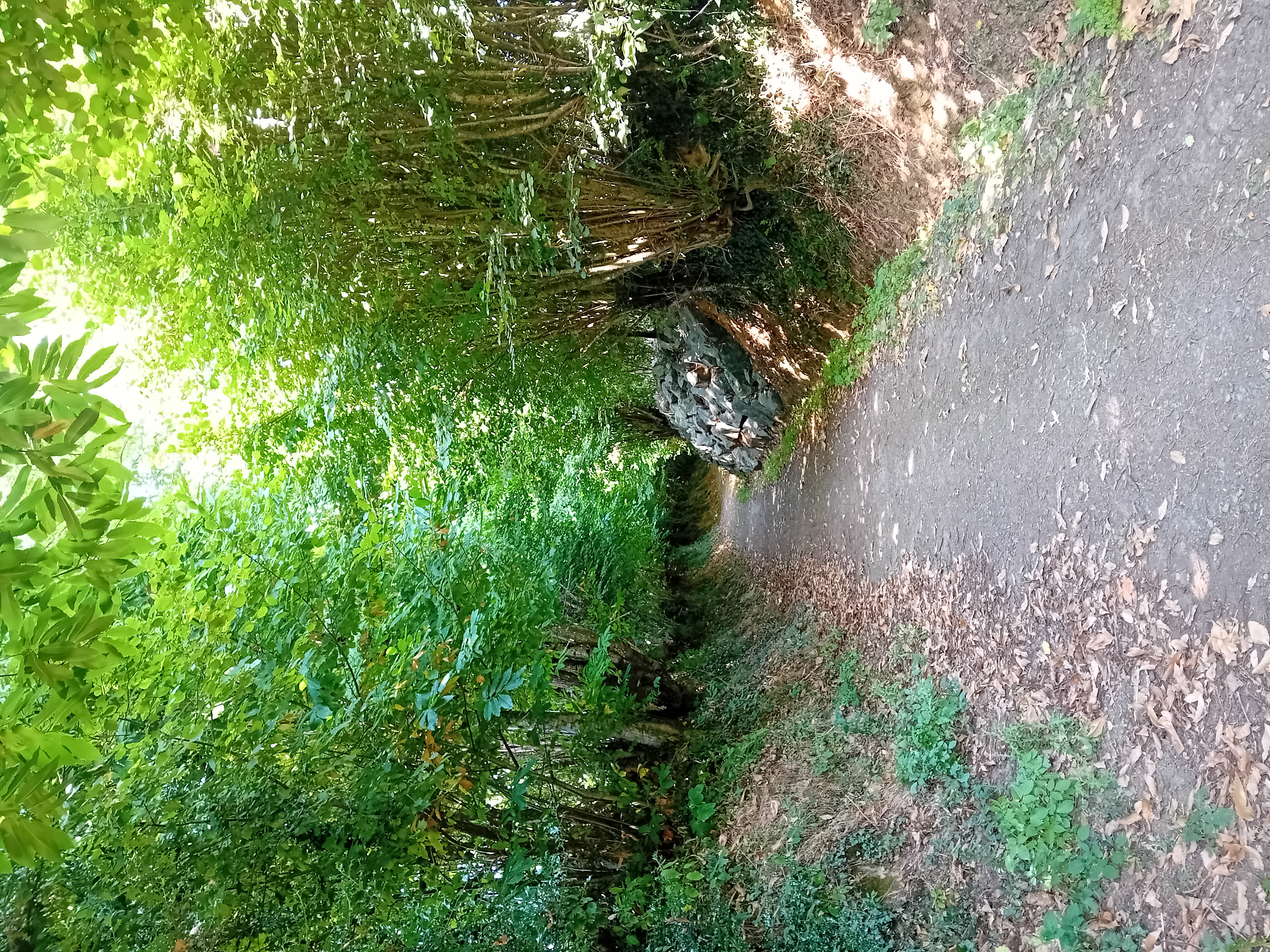 Saint-Amand-sur-Sèvre : circuit n°3, Saint-Amand-sur-Sèvre - photo 2