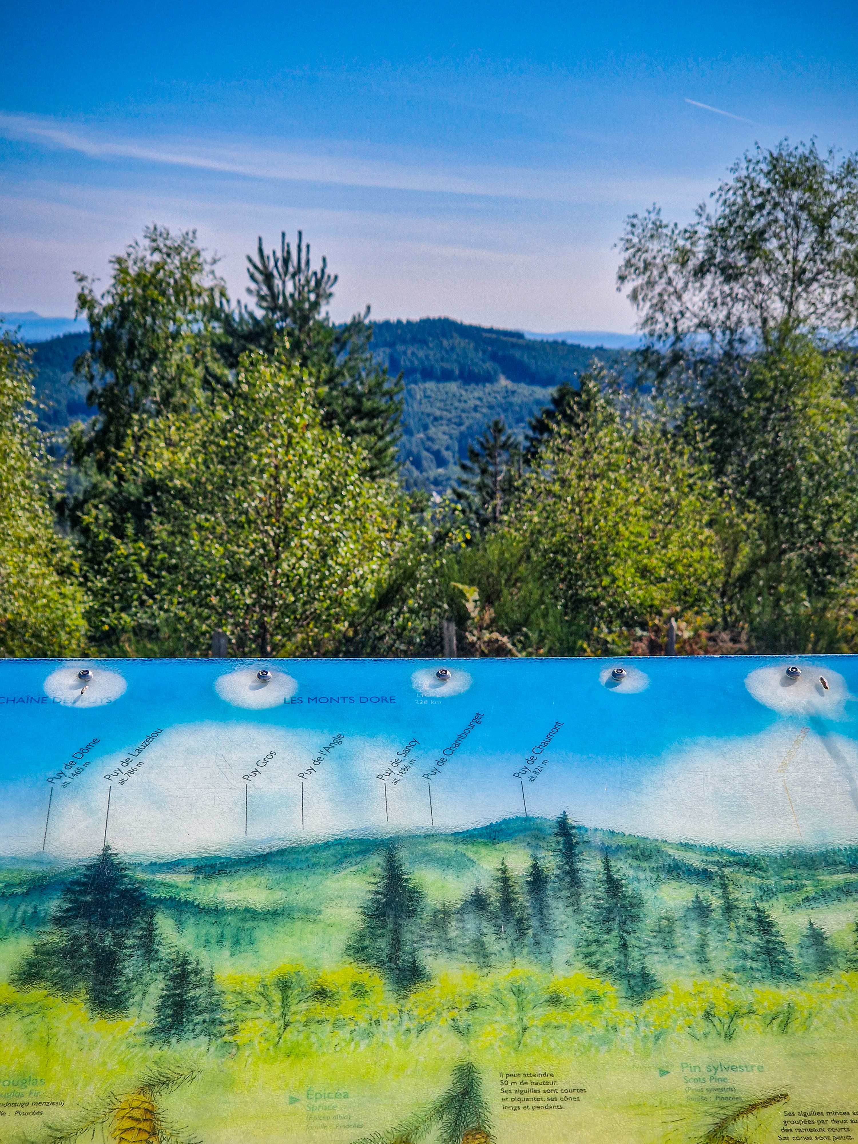 Table d'orientation du Puy de Sarran, Sarran - photo 6