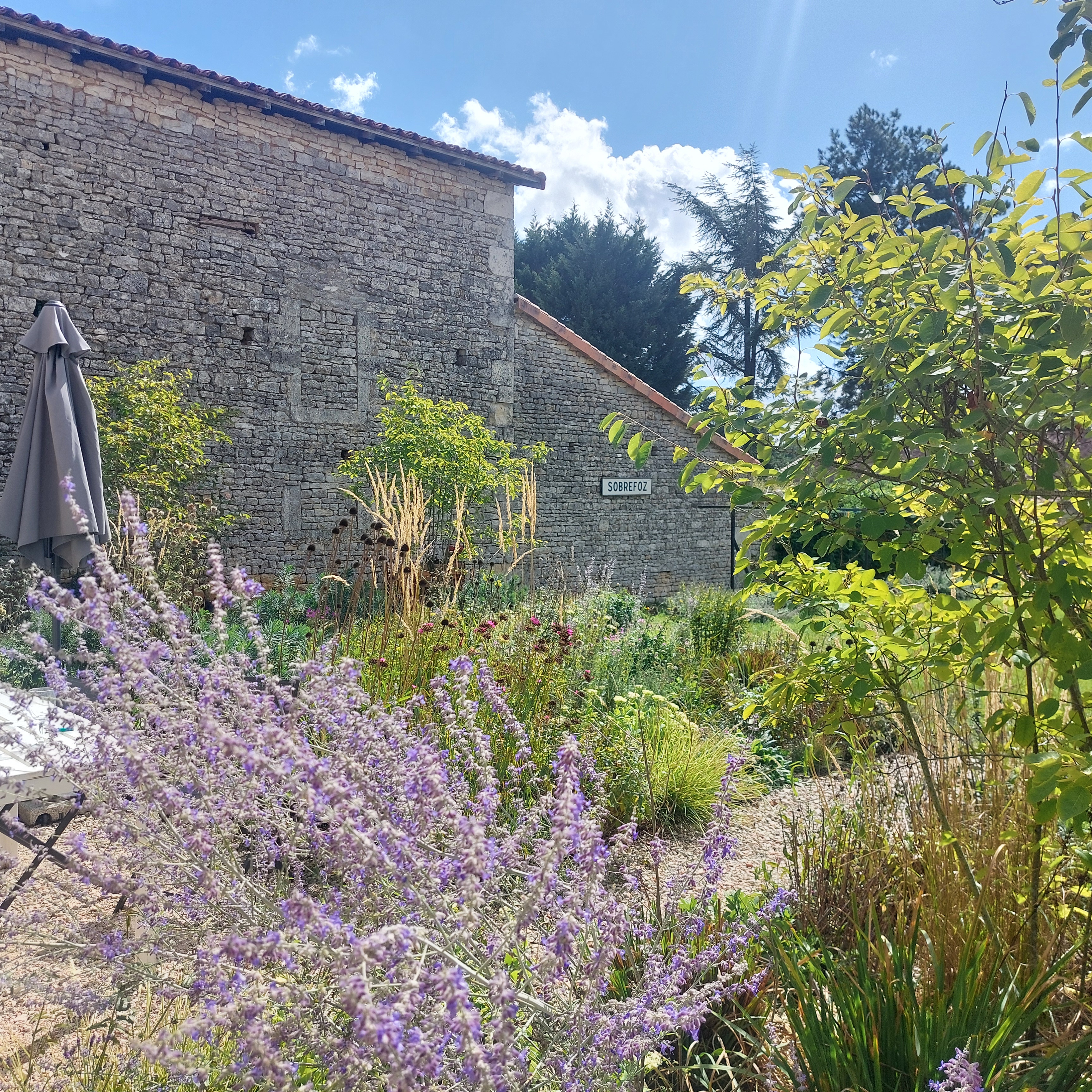 Les Gîtes de l'Impasse des Chaumes - Emeraude, Voulême