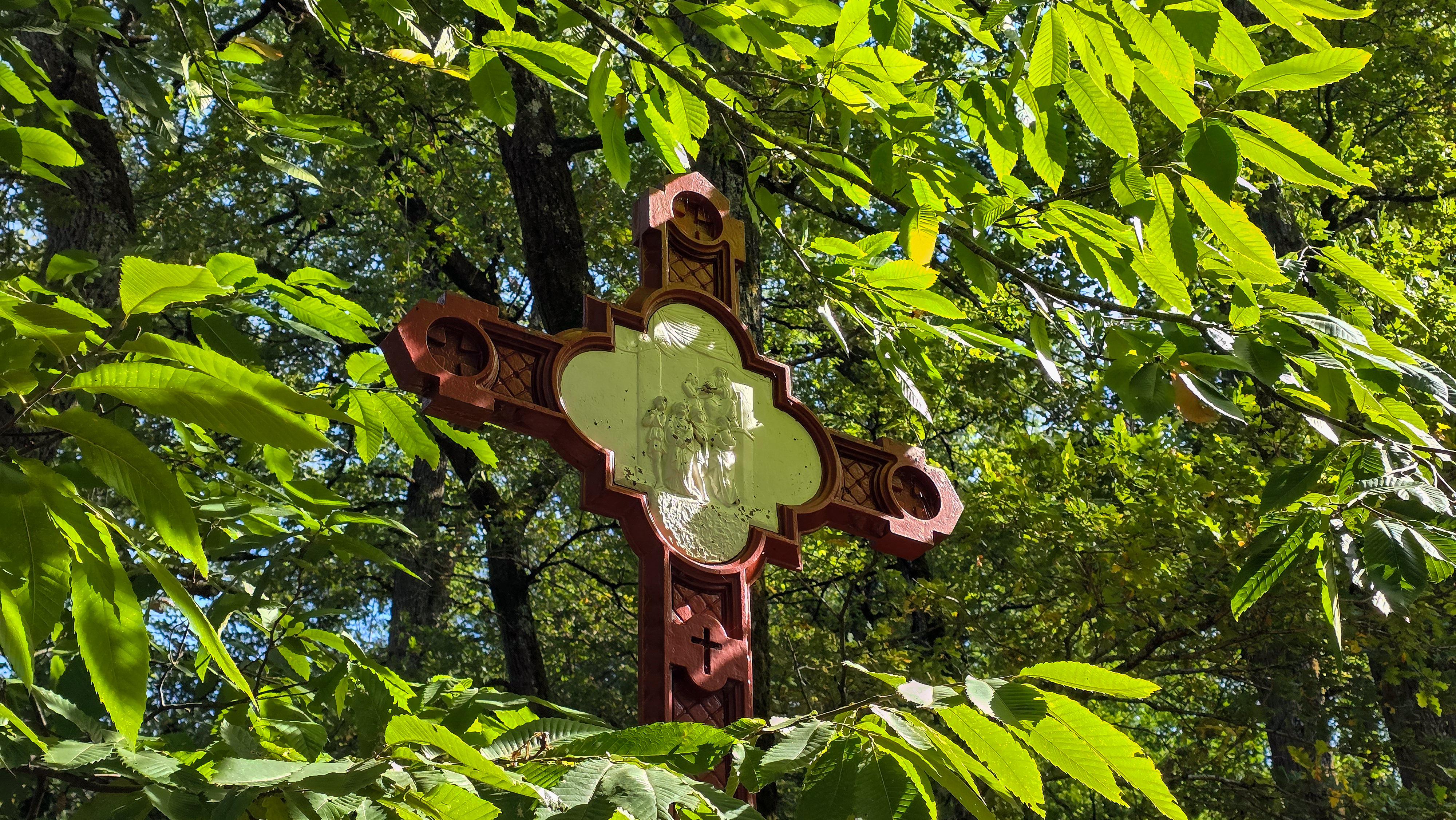 Parc d'Arliquet, Aixe-sur-Vienne - photo 6