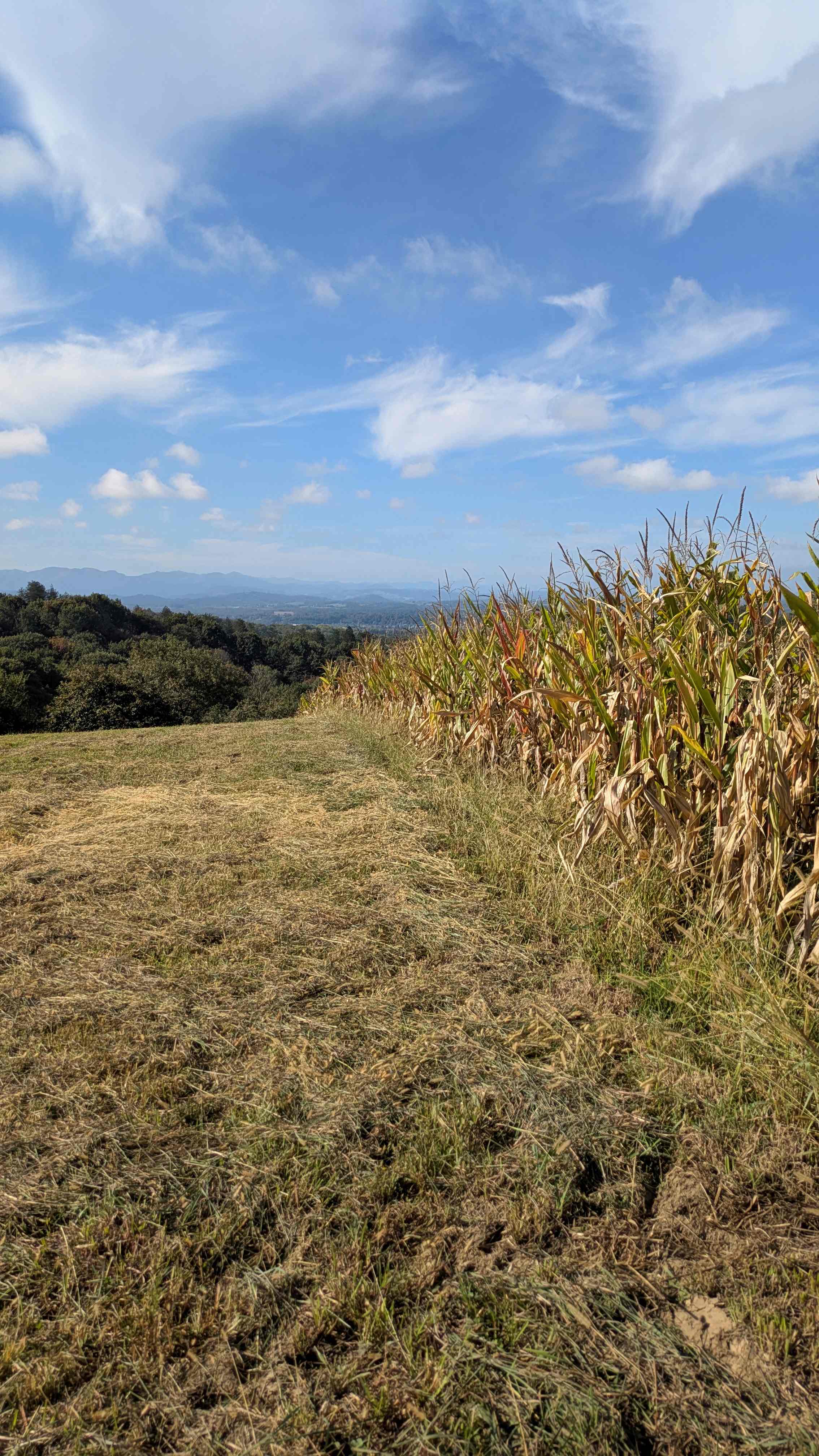 Le circuit du Brané, Navarrenx - photo 2