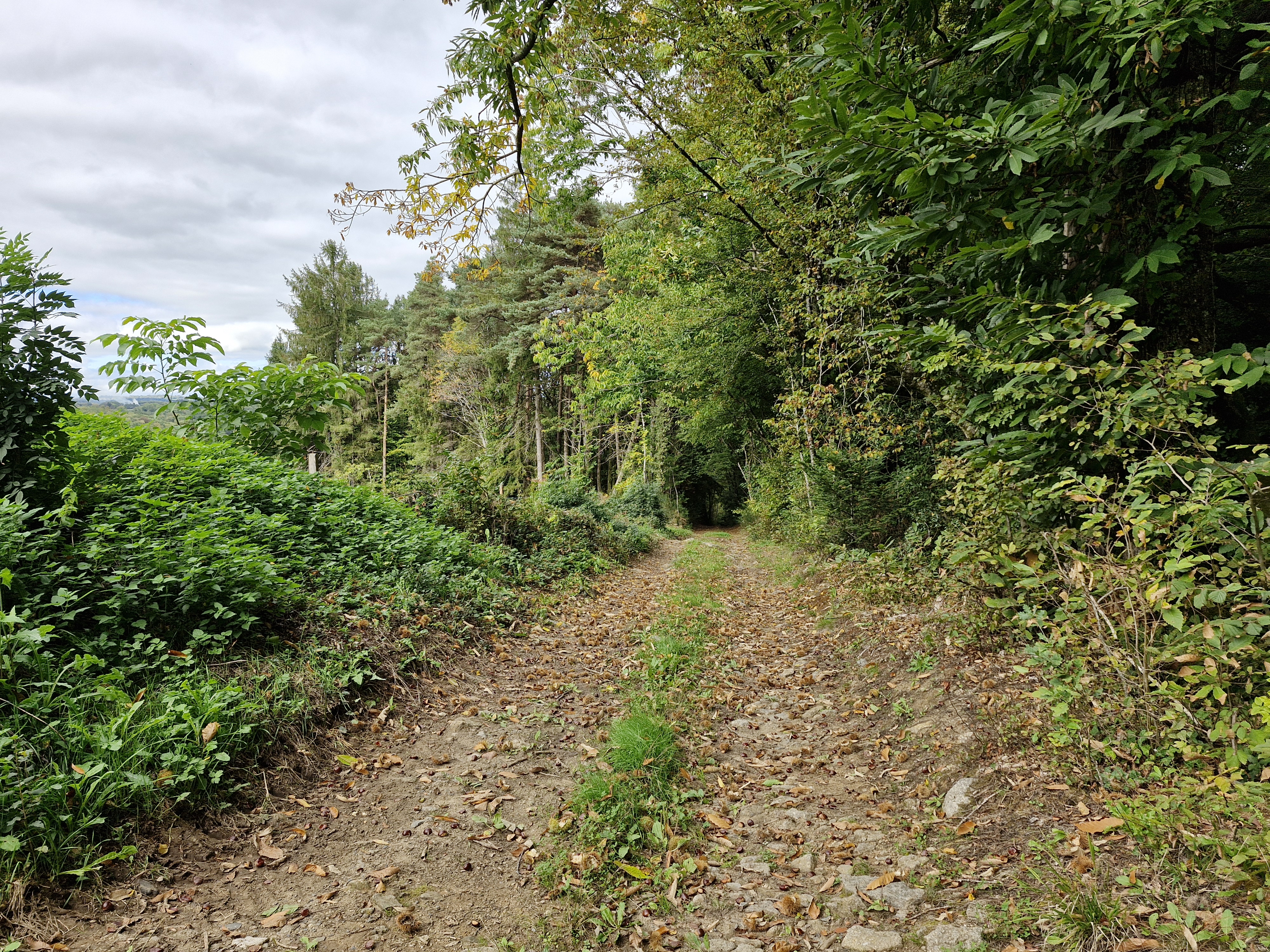 Chemin des Vitraux - photo 2