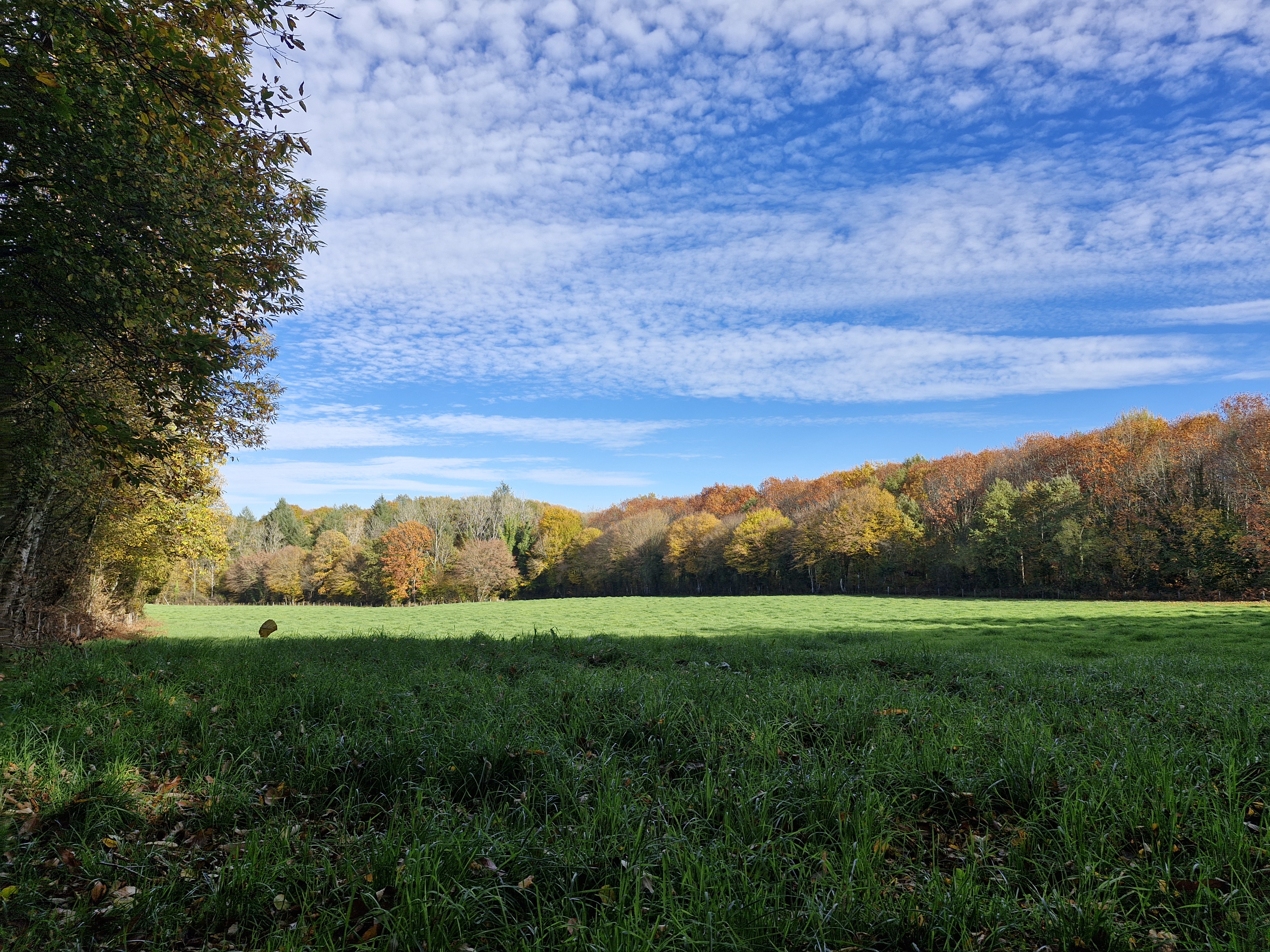Pont des Farges et de Chanterane - photo 3
