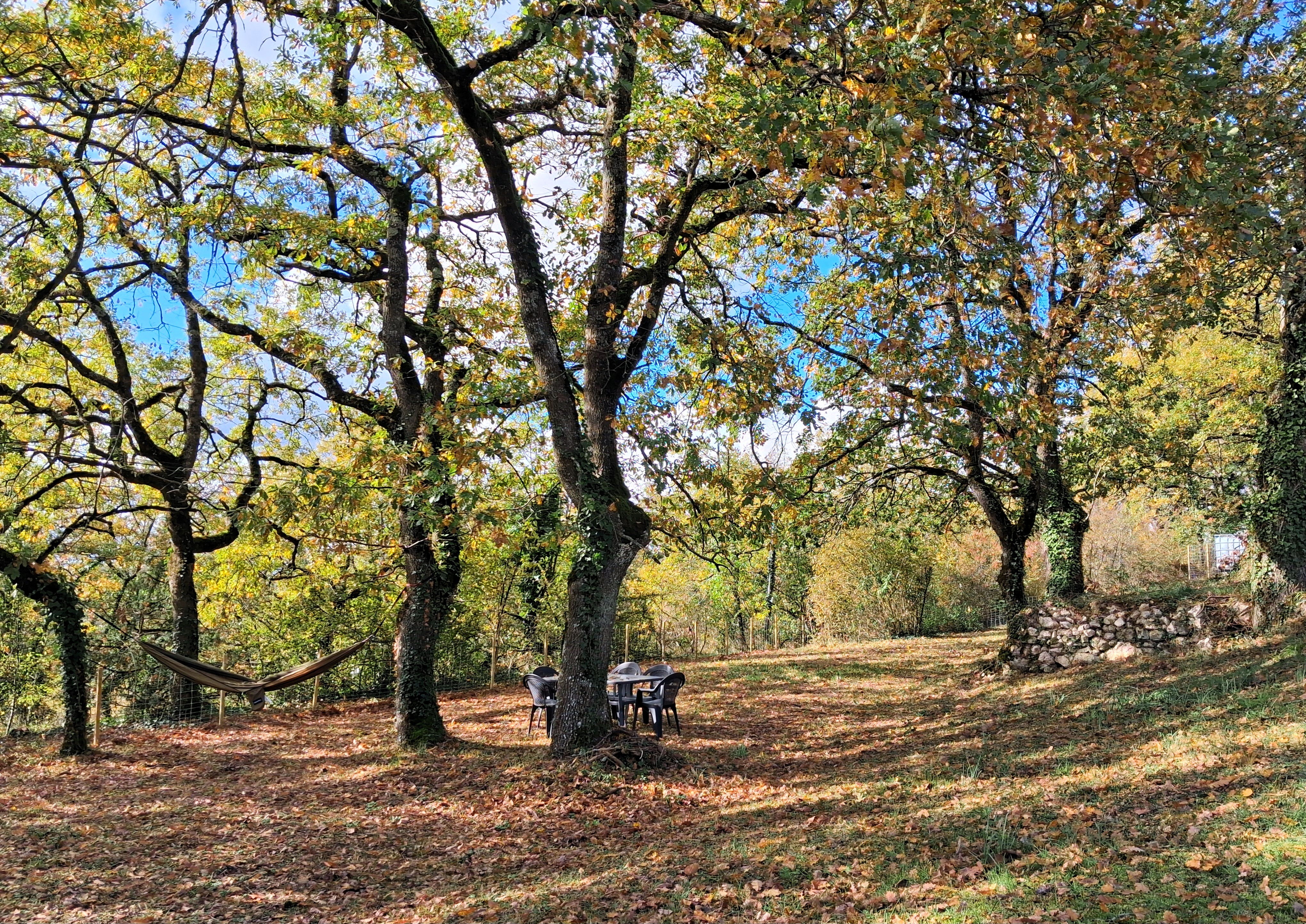 Chalet de Carrou, Coulx - photo 10