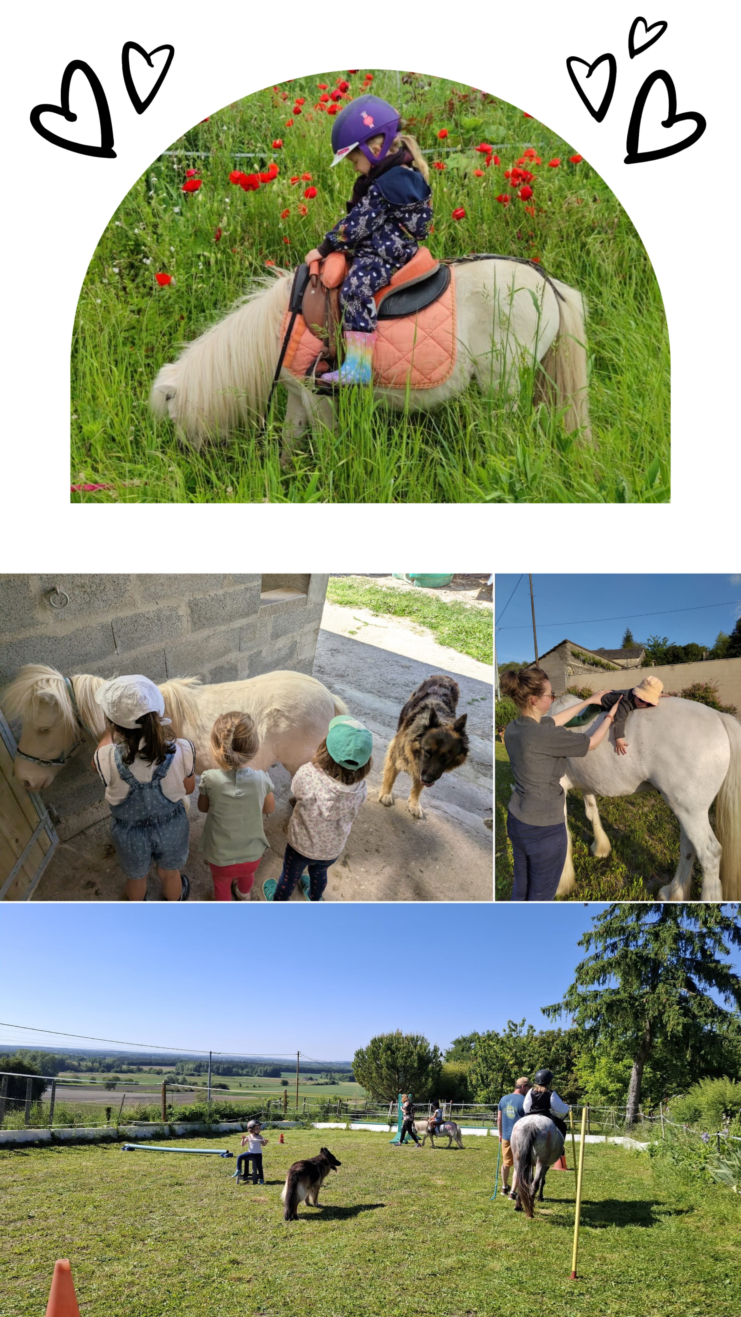 Initiation Poney/Cheval ou Baby-poney — photo 3