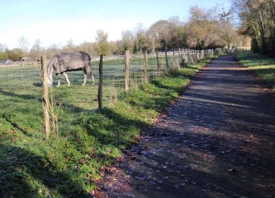 Marche en plaine (Téléthon)