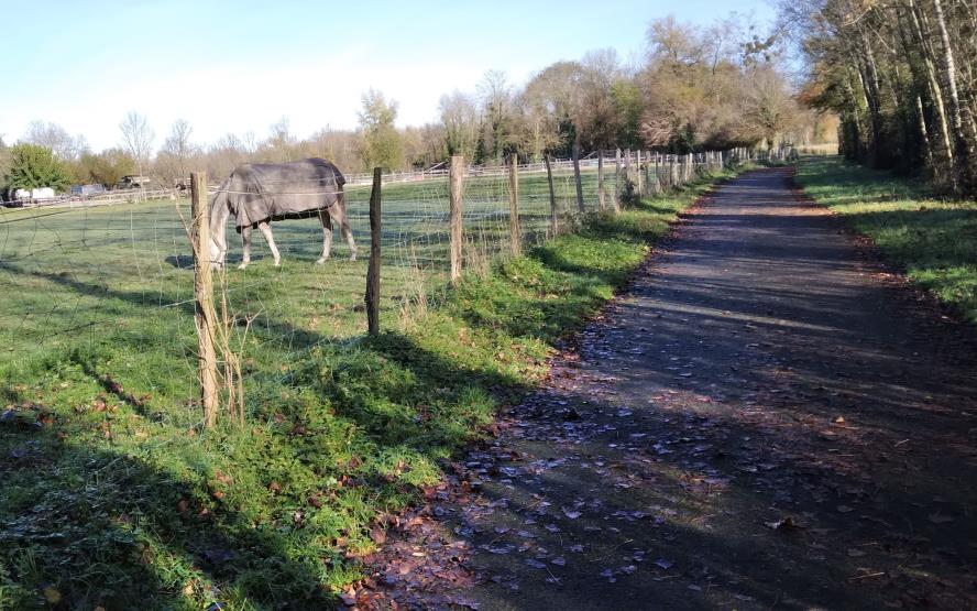 Image de présentation du lieu