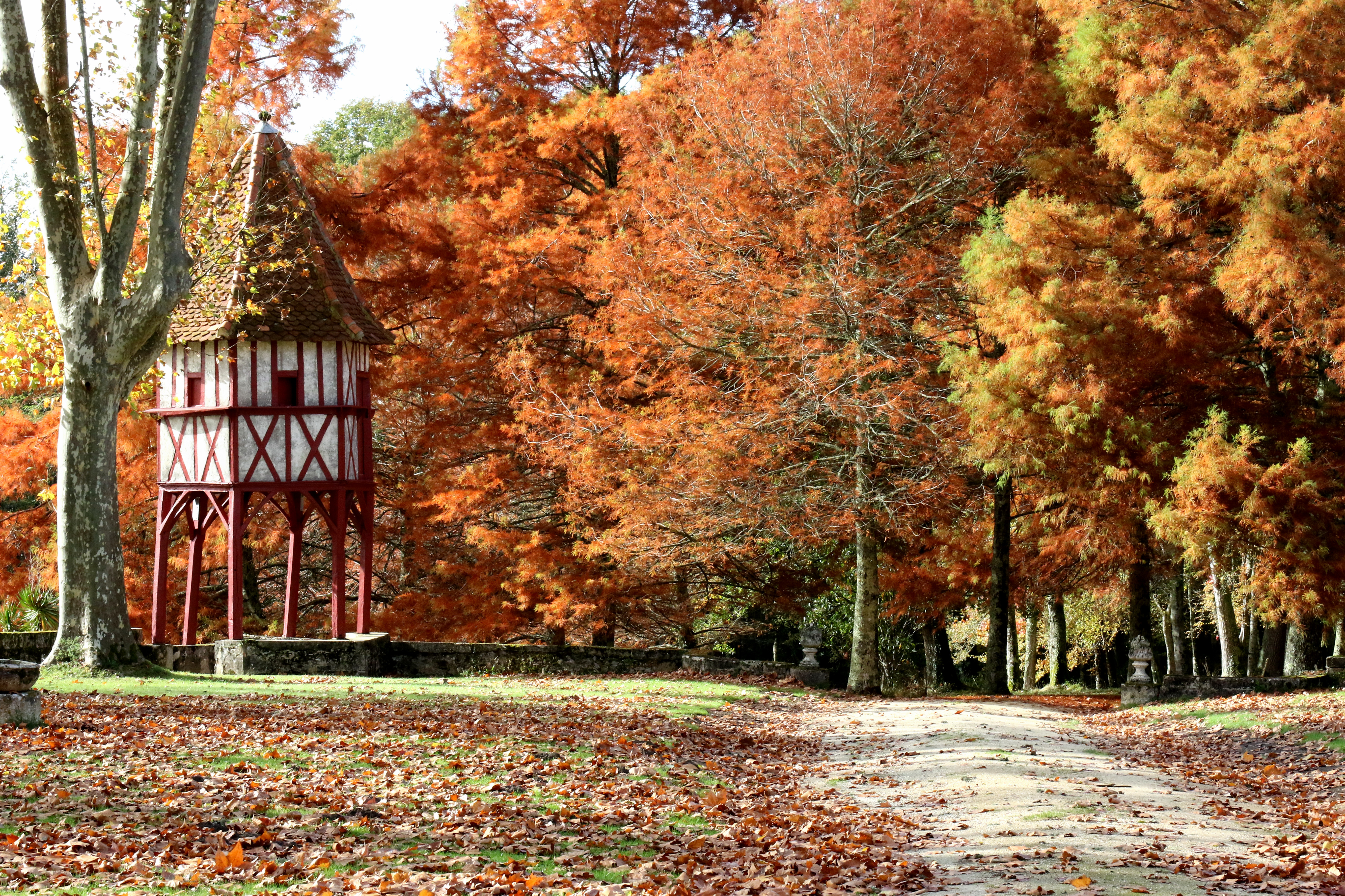 Château de Fondat