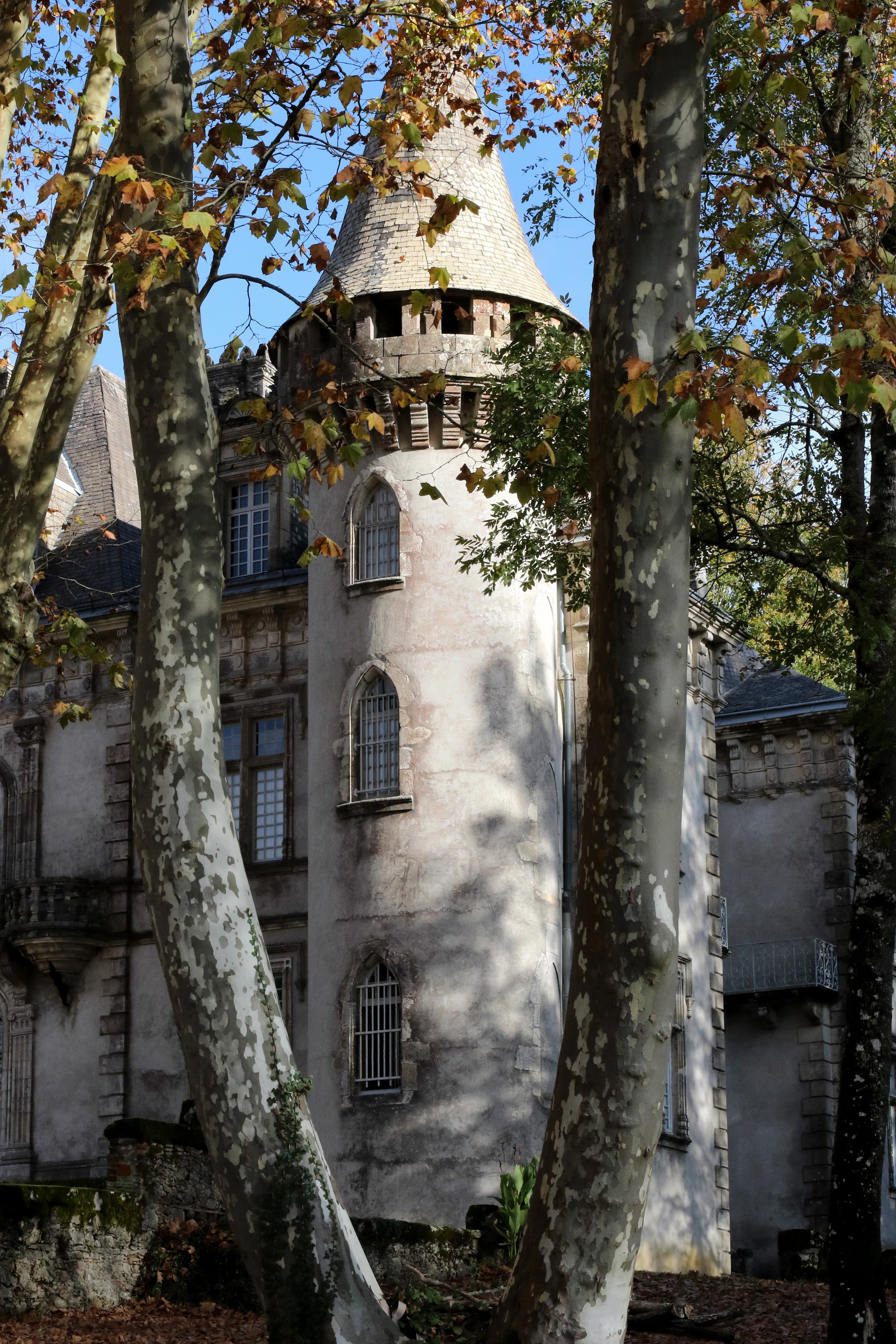 Château de Fondat, Saint-Justin - photo 13