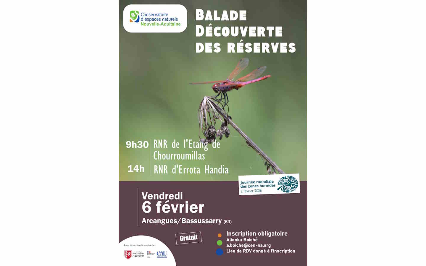 Balade découverte des réserves : l'étang de Chourroumillas, Arcangues