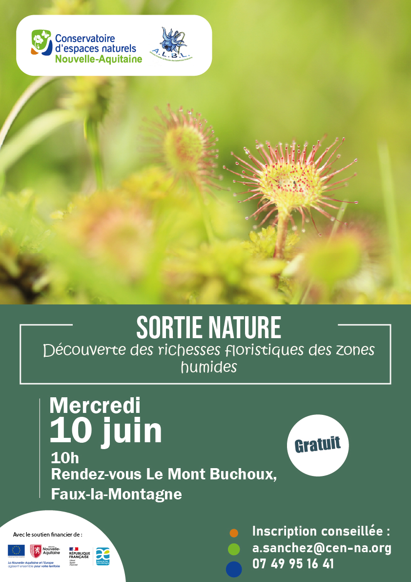 Sortie Nature : Découverte des richesses des zones humides