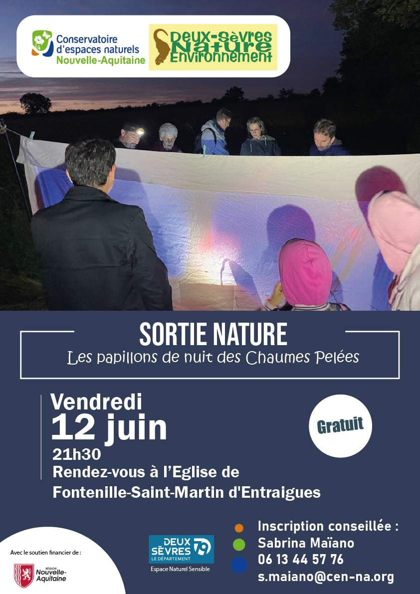 Sortie nature : formez-vous aux papillons de nuit des Chaumes Pelées