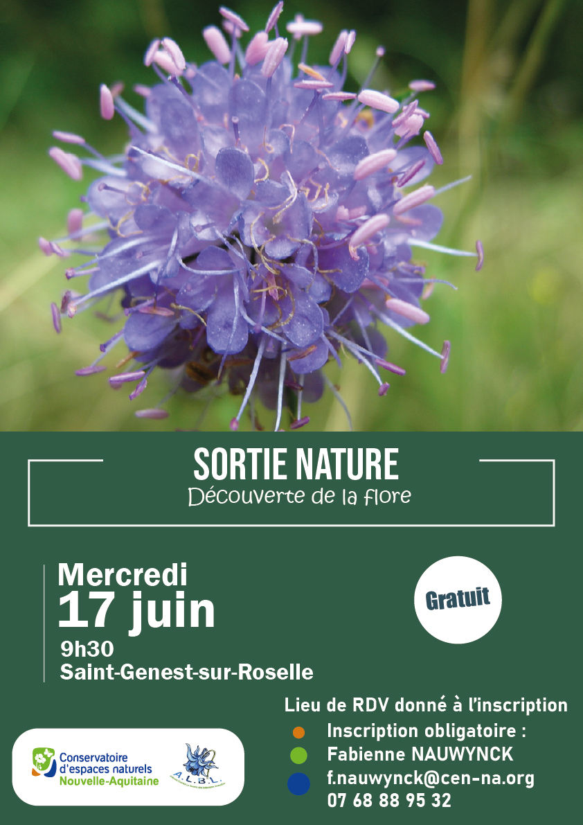 Sortie nature, Découverte de la flore