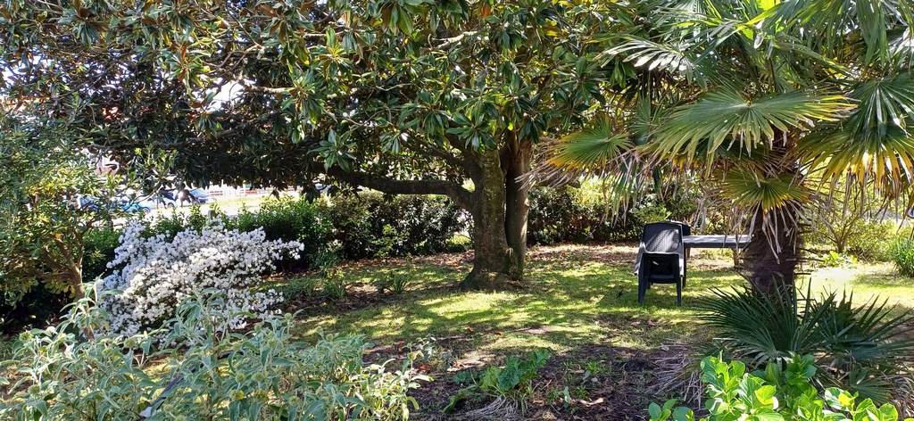 SCI Lpgetfilles - La Gasconha - photo 5