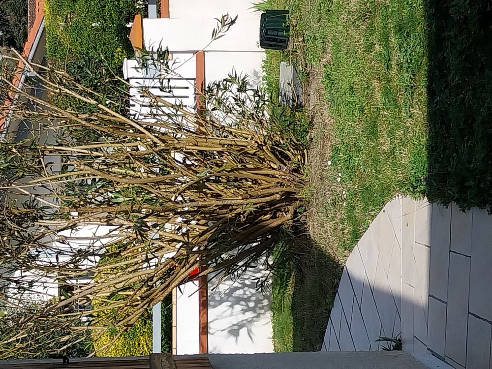 T2 - 1 à 2 pers. - MART9/F, Seyresse - photo 6