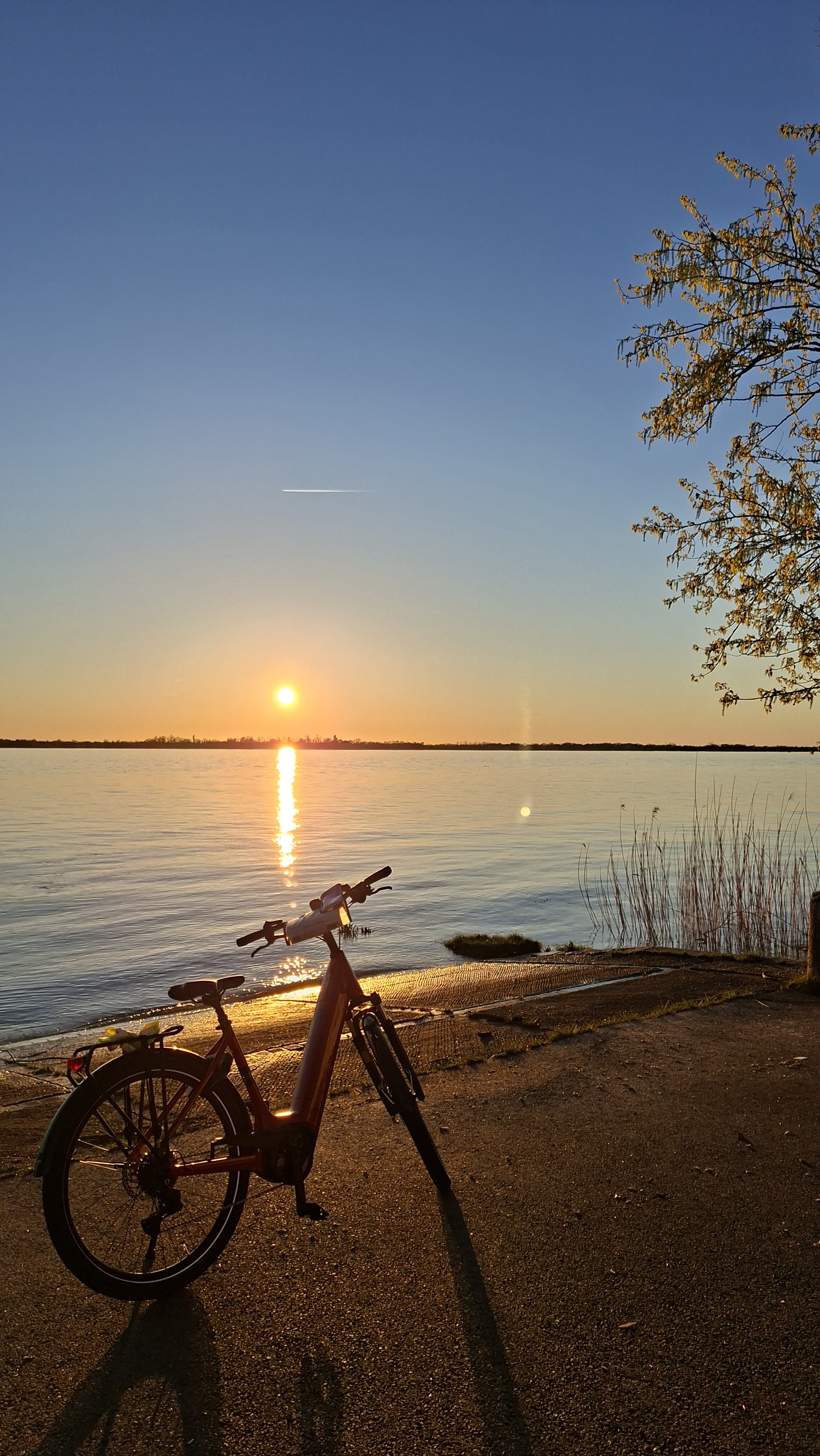 Location de vélos électriques — photo 3