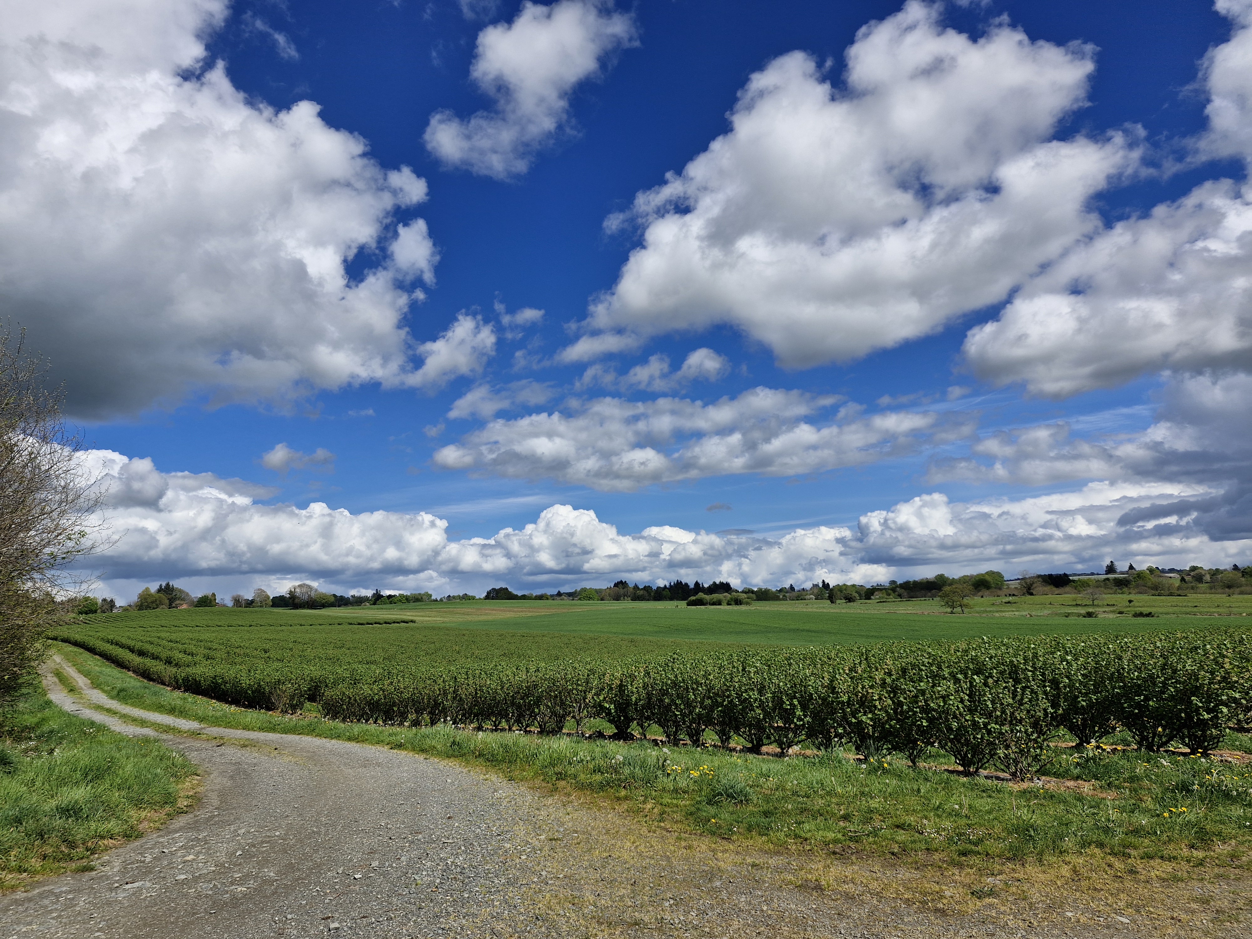 Le Ruisseau des Belles Dames, Beyssenac - photo 3