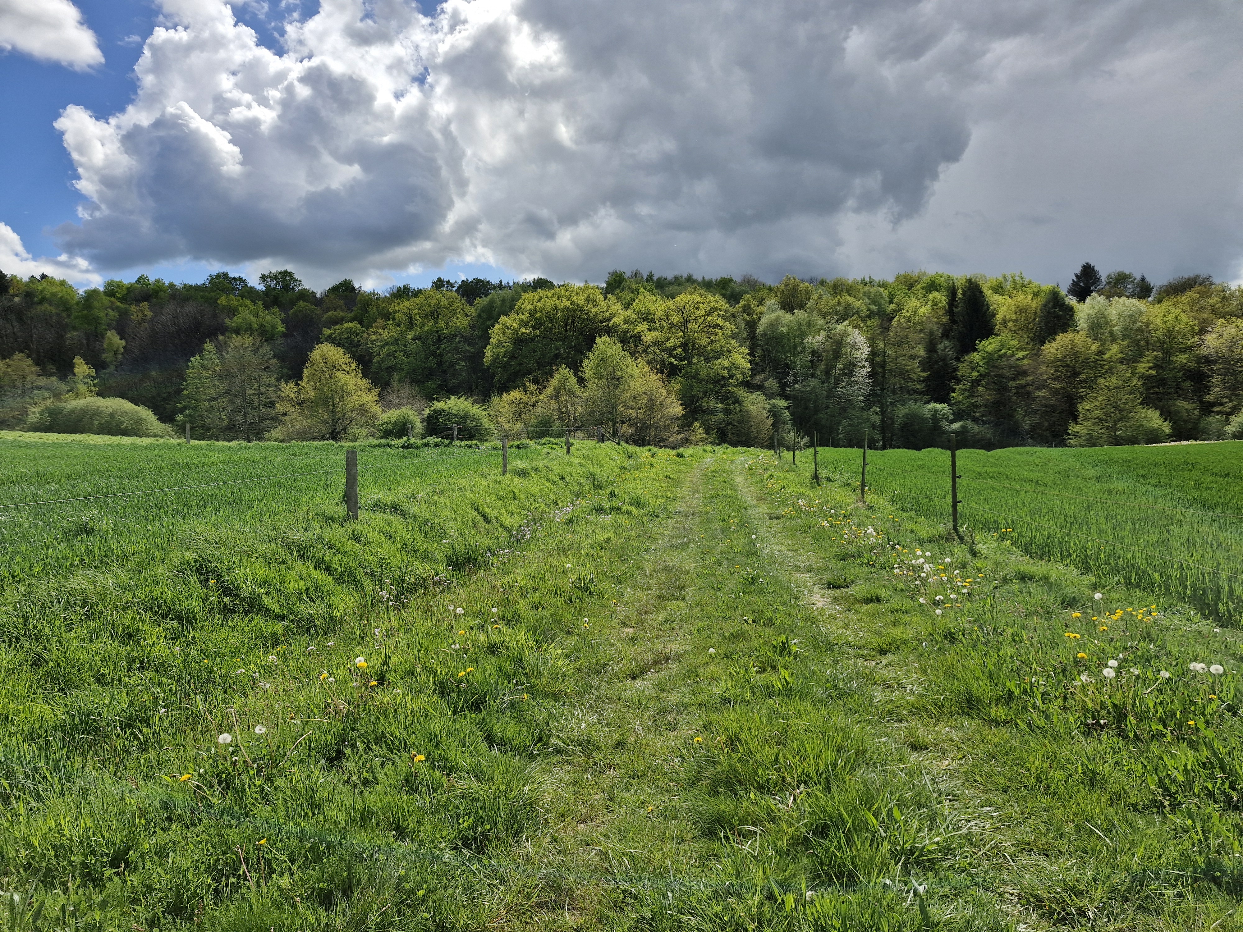 Le Ruisseau des Belles Dames, Beyssenac - photo 4