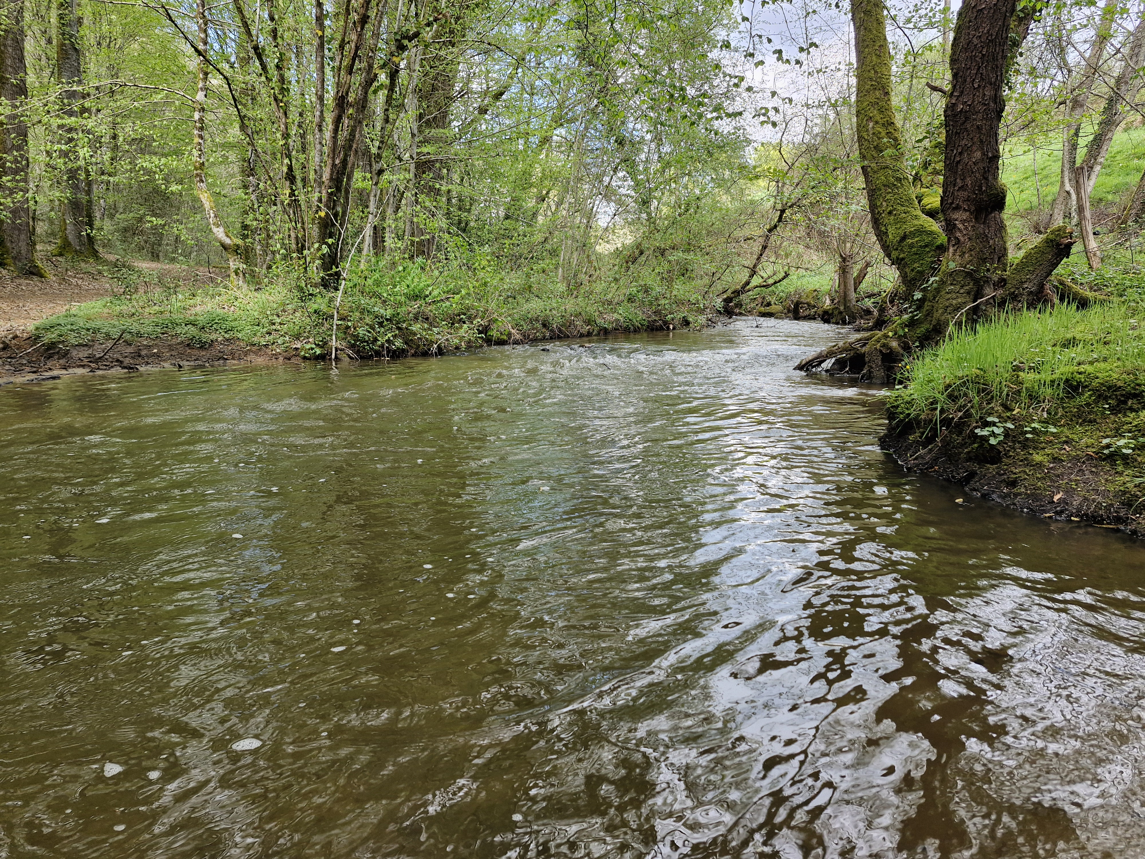 Le Ruisseau des Belles Dames, Beyssenac - photo 7