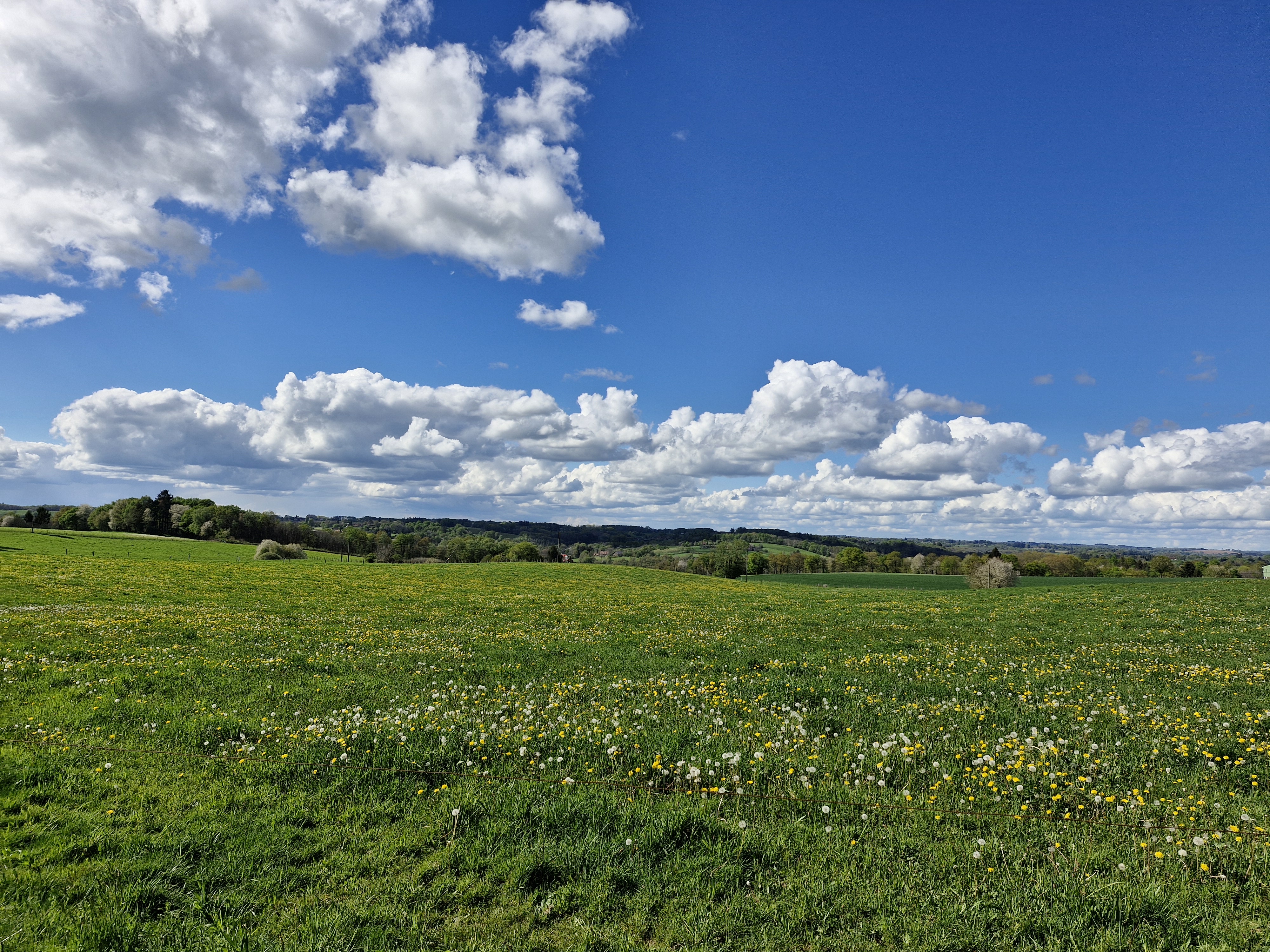 Le Ruisseau des Belles Dames, Beyssenac