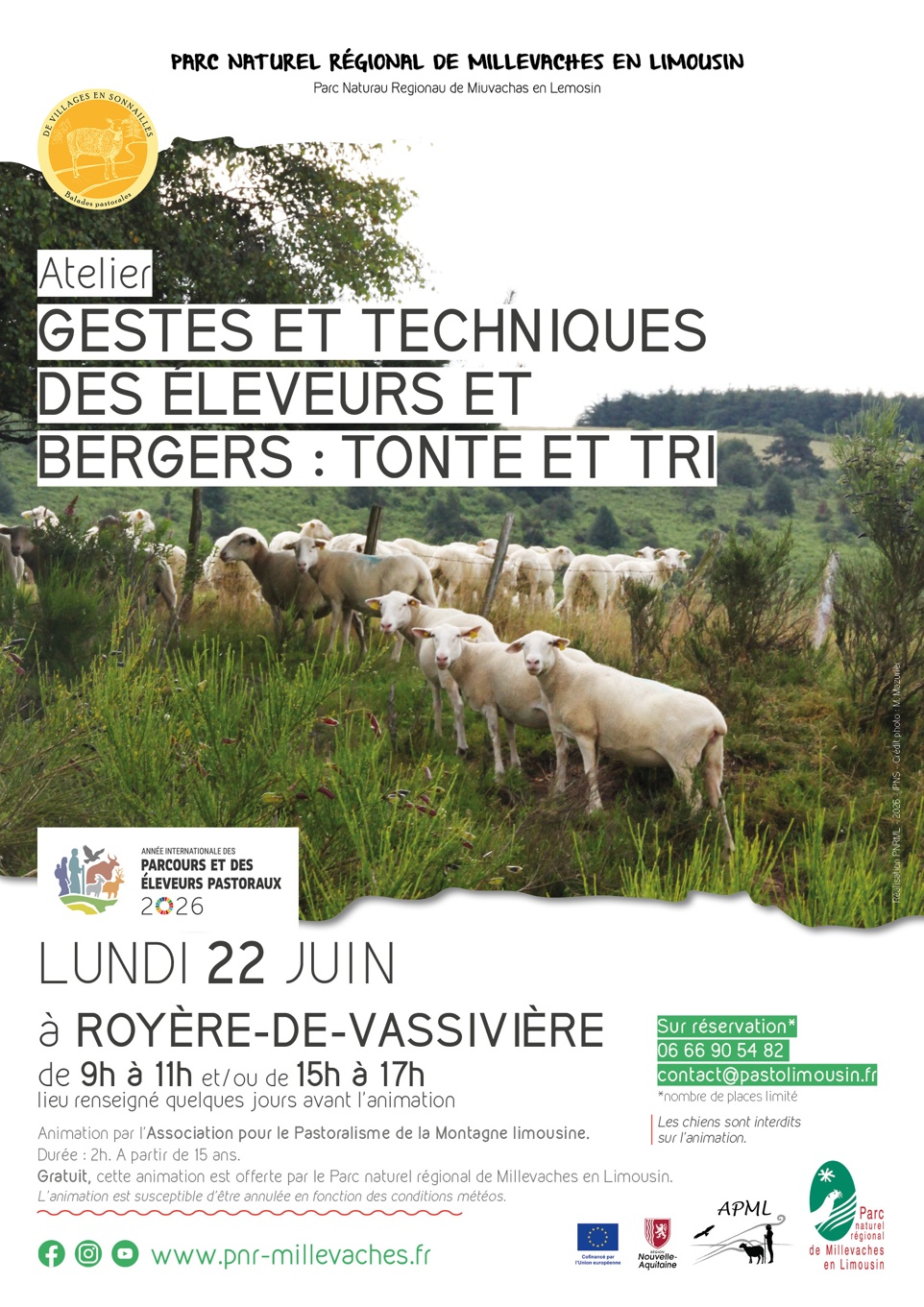 Gestes et techniques des éleveurs et bergers : tonte et tri