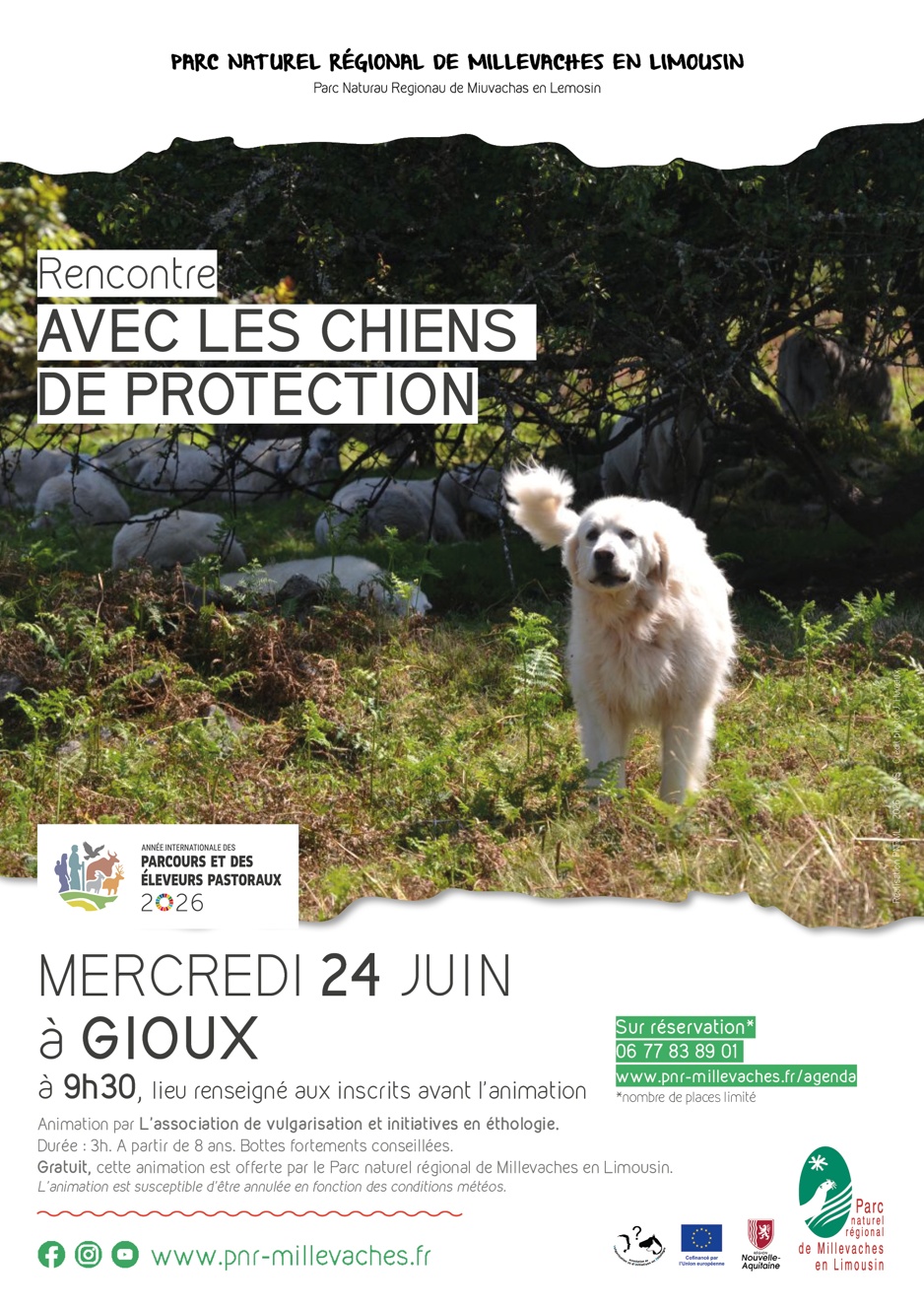Rencontre avec les chiens de protection