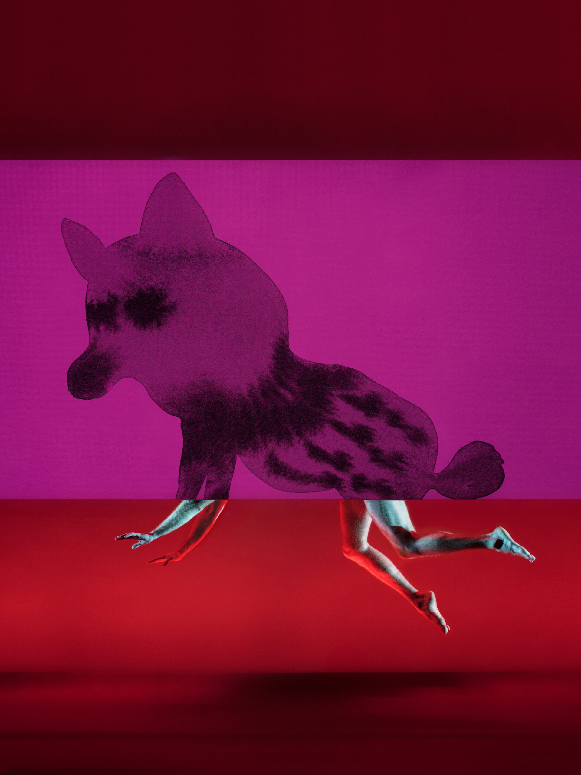 Mimos (IN) : Des chimères dans la tête — visuel événement