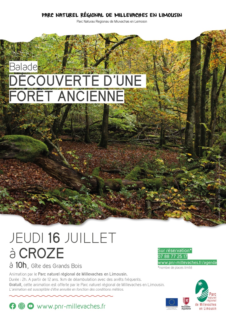 Découverte d'une forêt ancienne — visuel événement